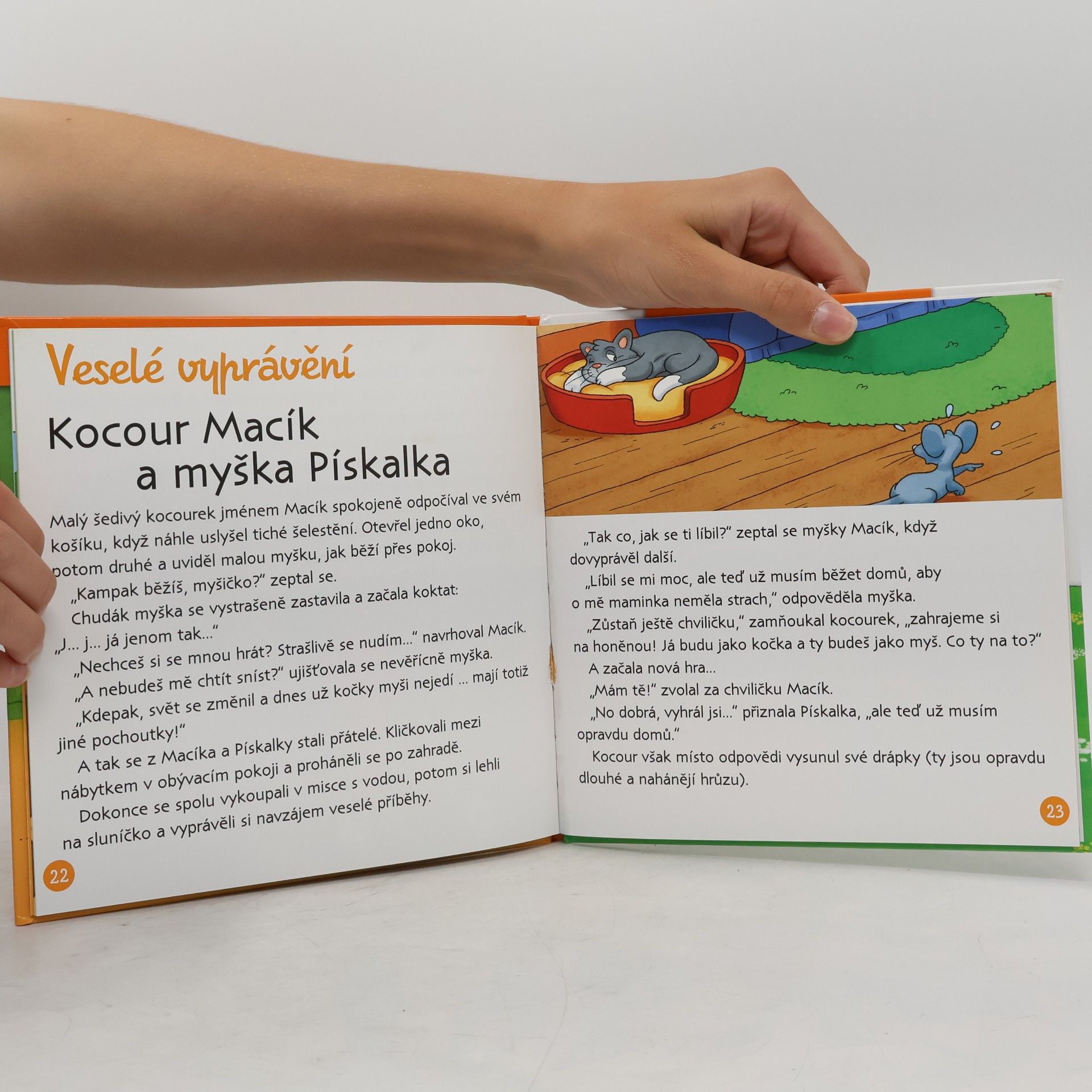 Autorenkollektiv Na dvorku 14. Kocour