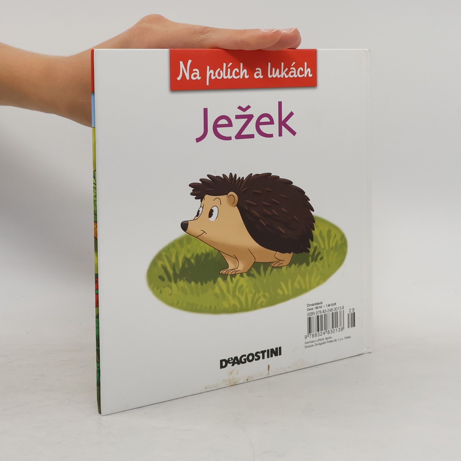 Collectif d'auteurs Na polích a lukách 11. Ježek