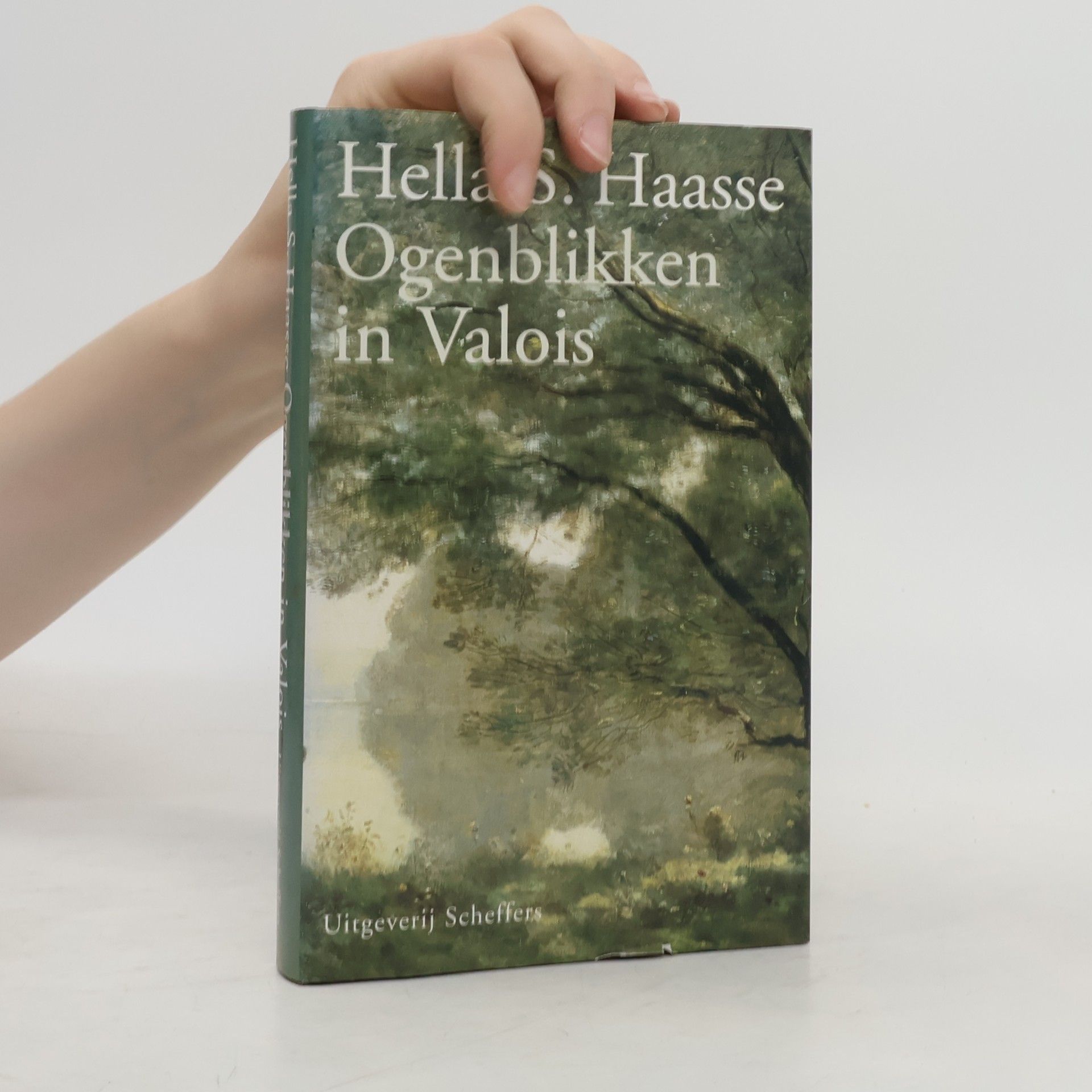 Ogenblikken in Valois