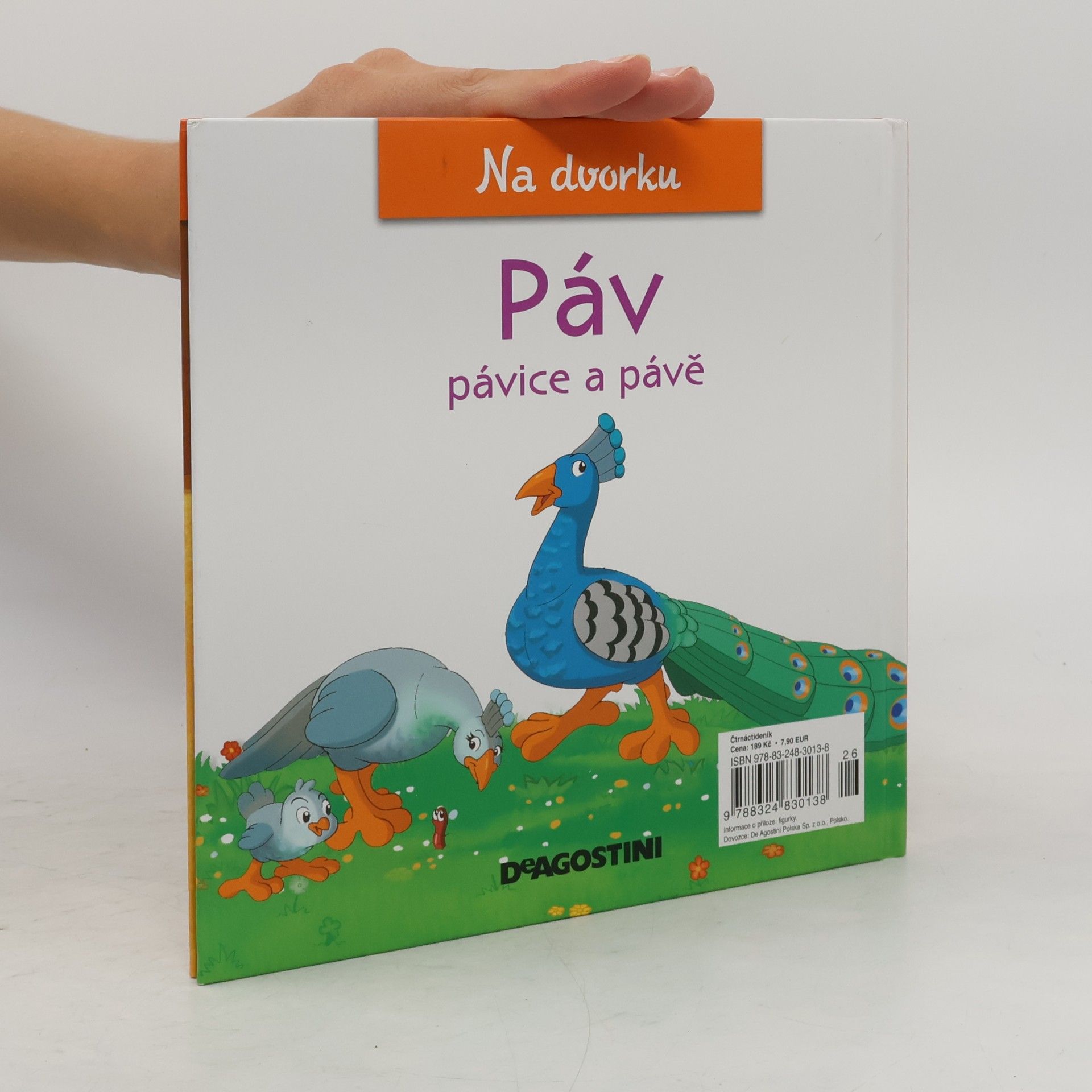 Gilles Laurendon Na dvorku 10. Páv