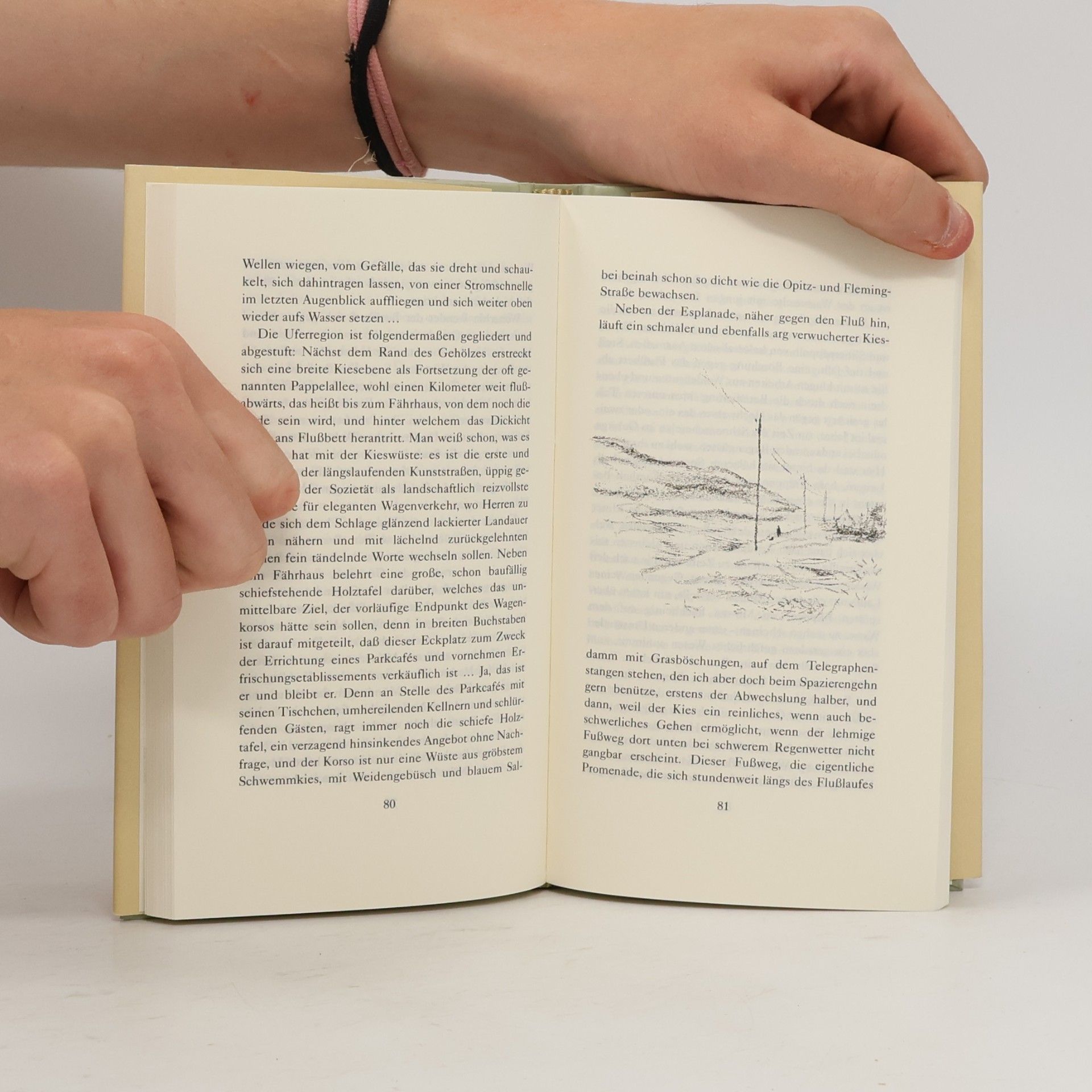 Thomas Mann Herr und Hund