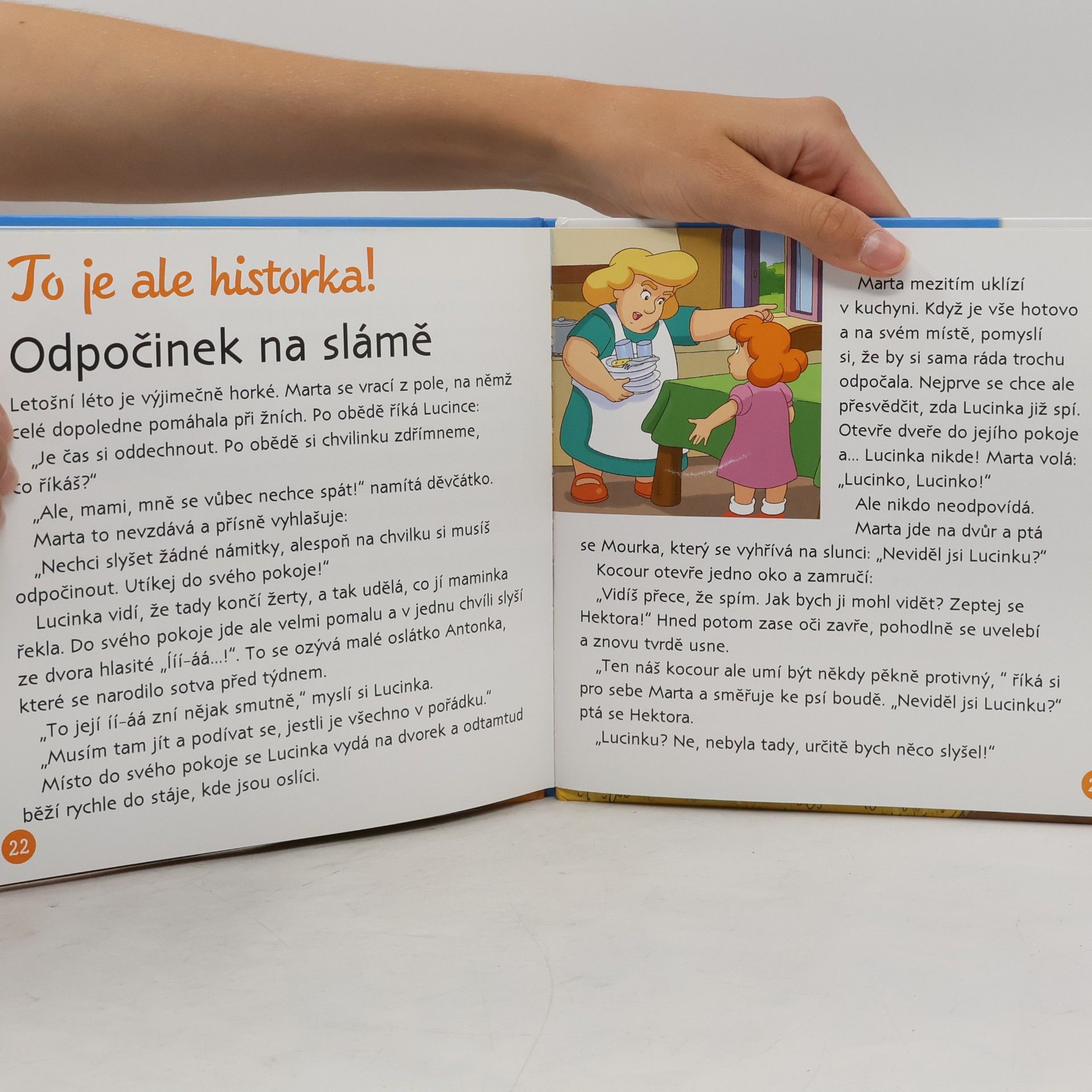 Auteurscollectief V hospodářství 9. Čtyři roční období