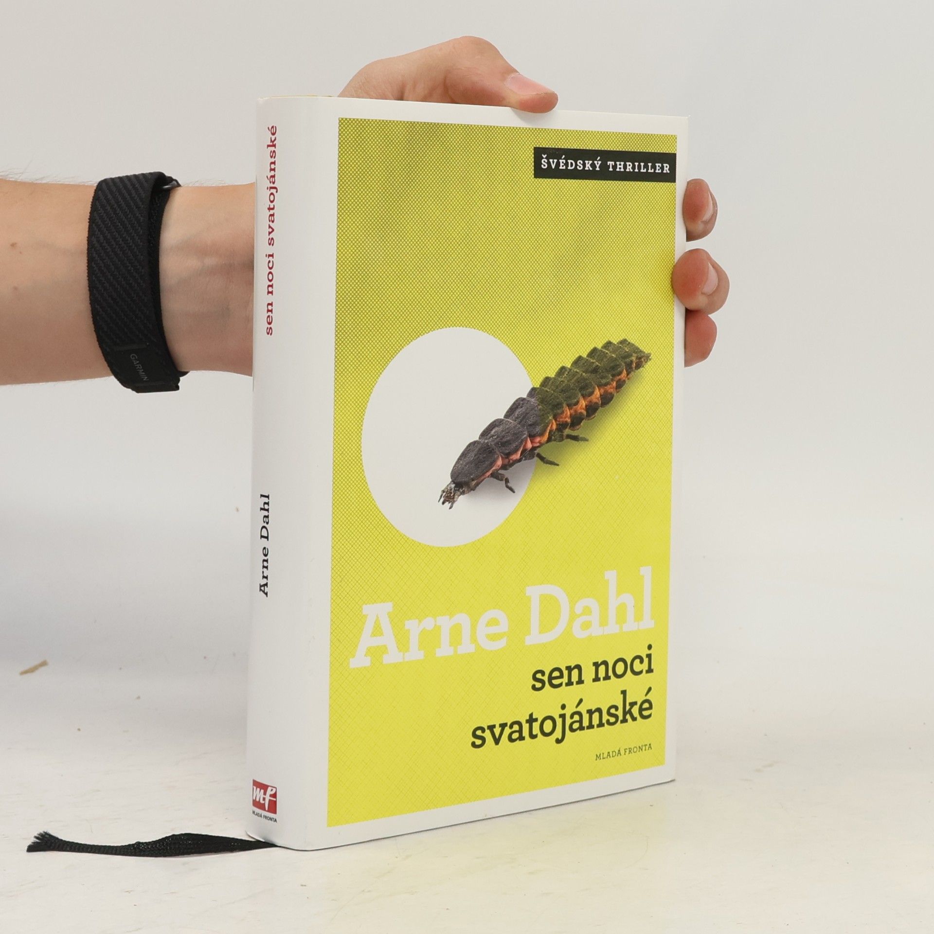 Arne Dahl Sen noci svatojánské