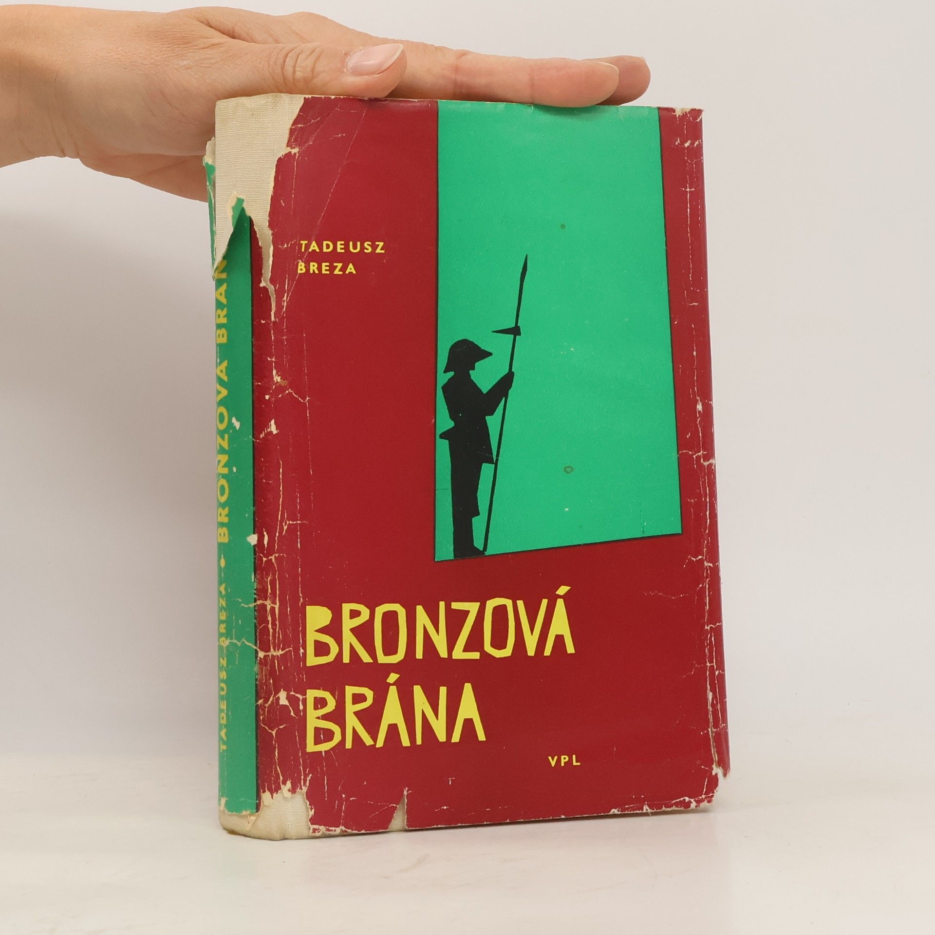 Bronzová brána