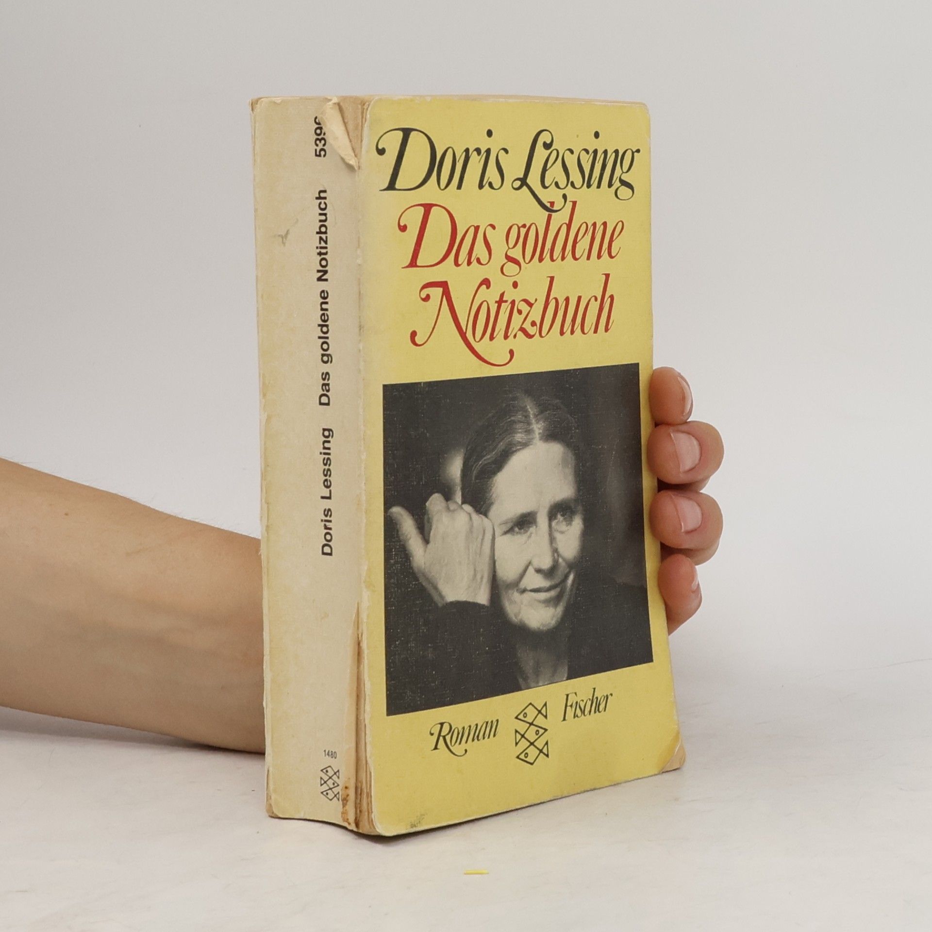 Doris May Lessing Das goldene Notizbuch