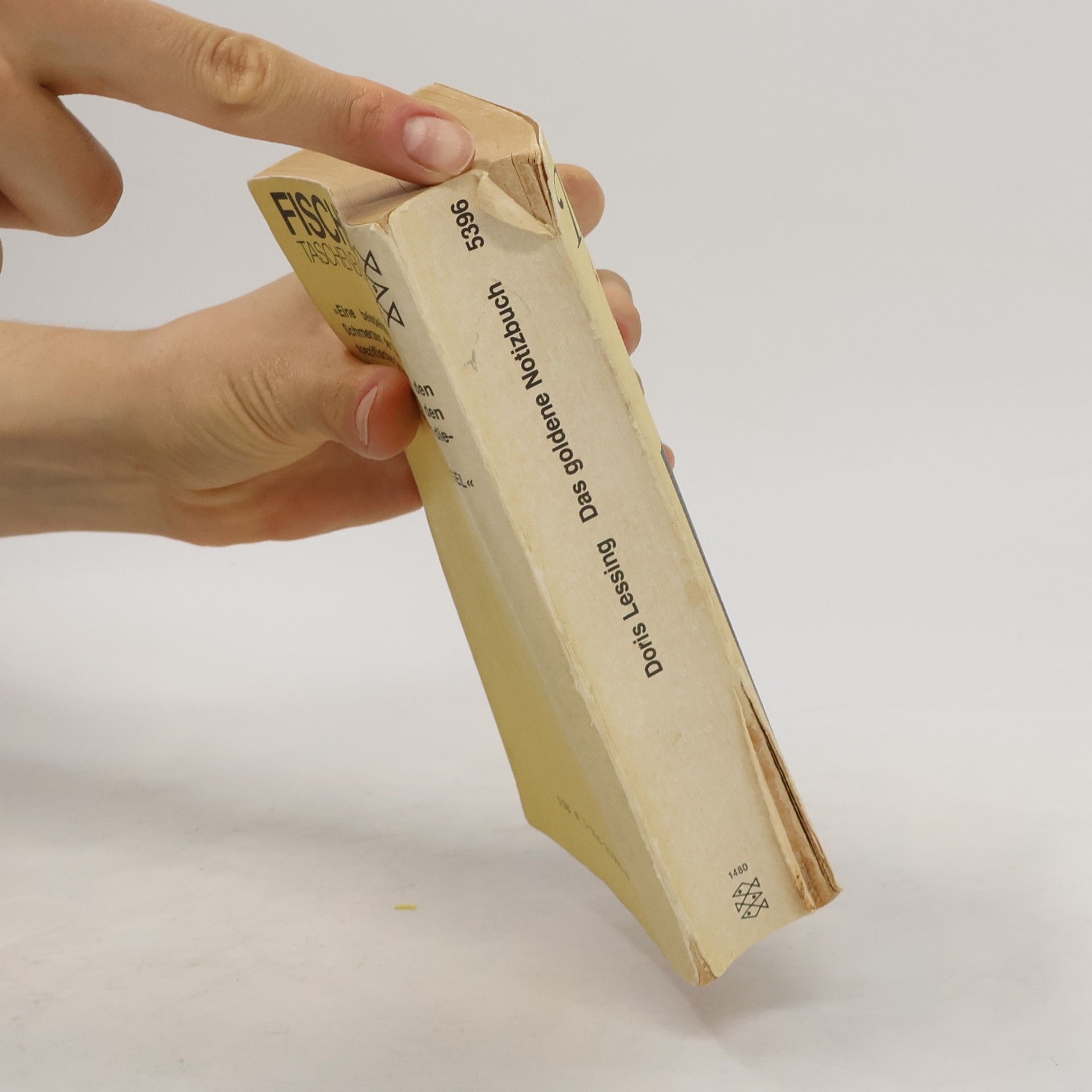 Doris May Lessing Das goldene Notizbuch