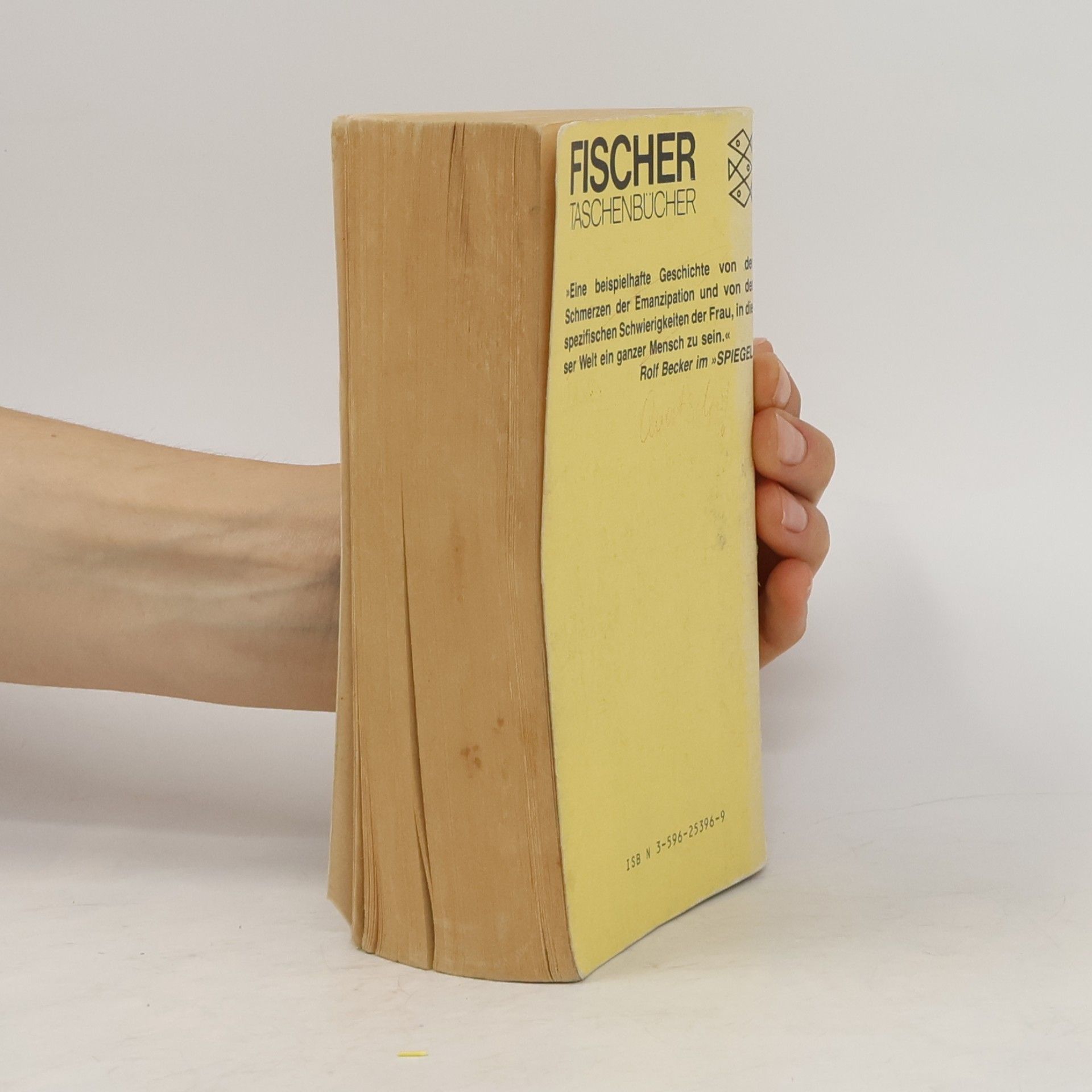 Doris May Lessing Das goldene Notizbuch