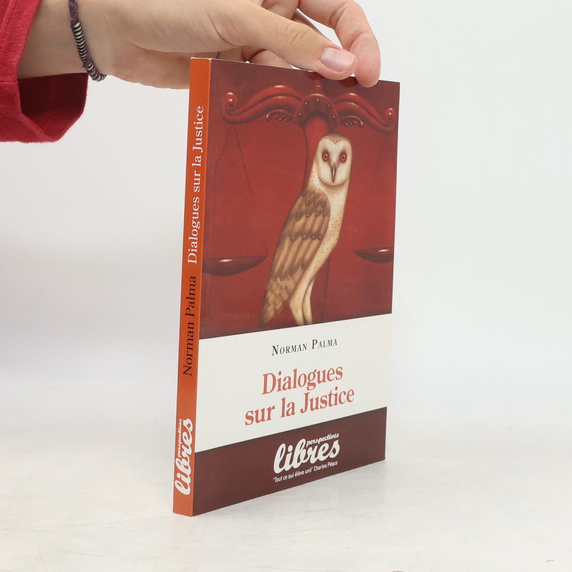 Norman Palma Perspectives libres: Dialogues sur la Justice