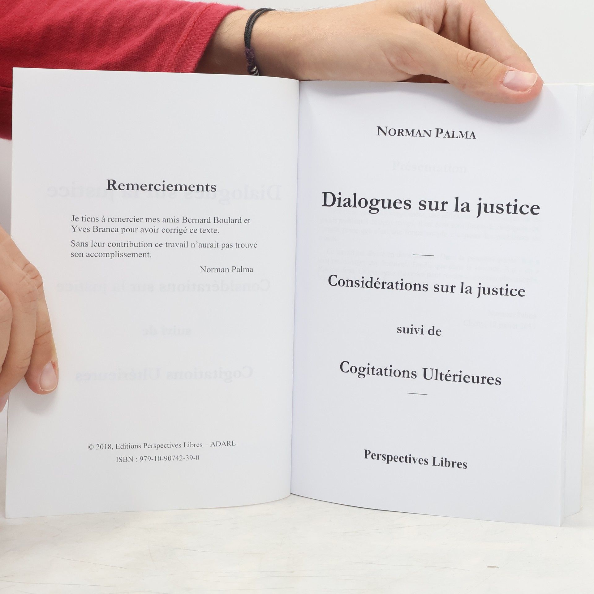 Norman Palma Perspectives libres: Dialogues sur la Justice
