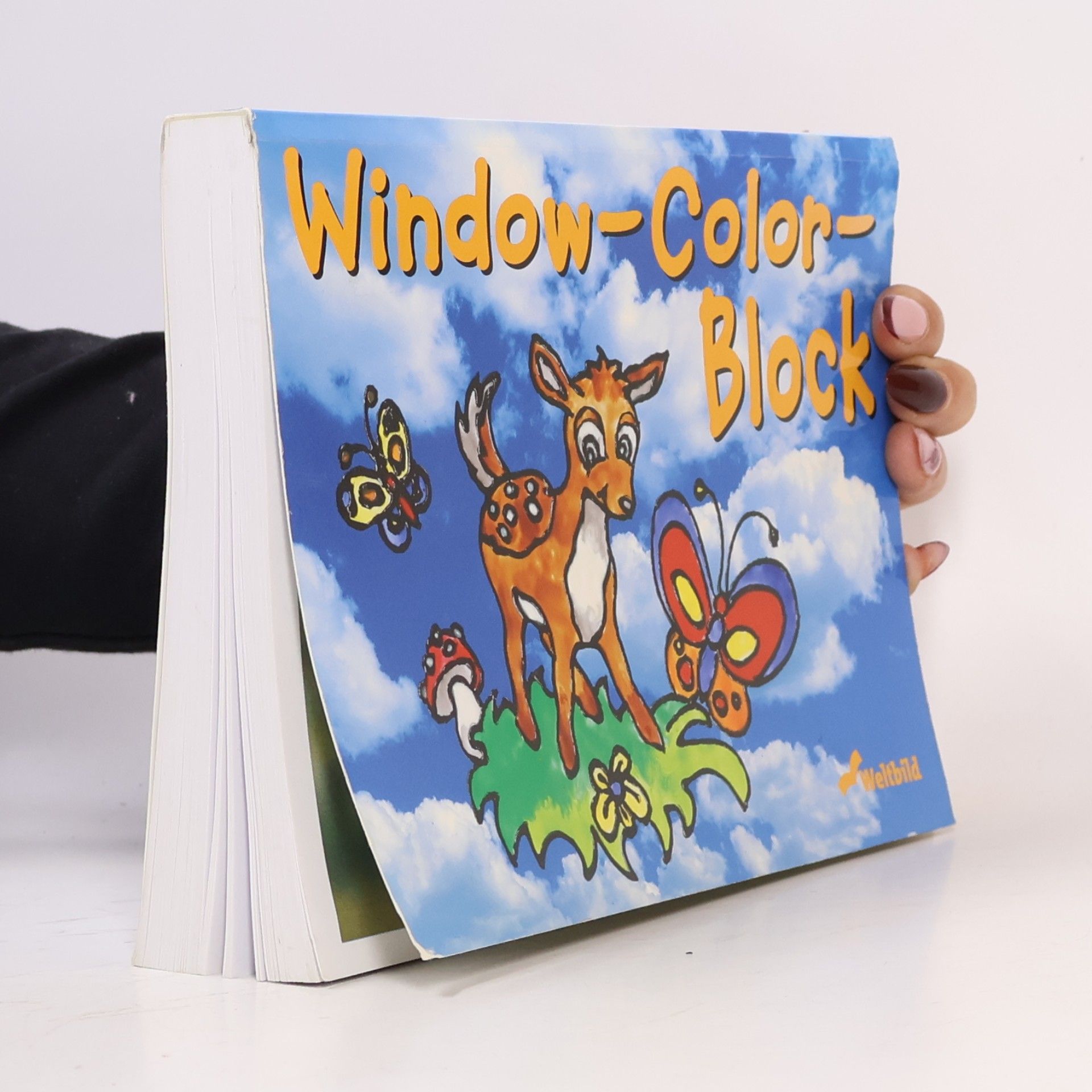 Autorenkollektiv Window-Color-Block
