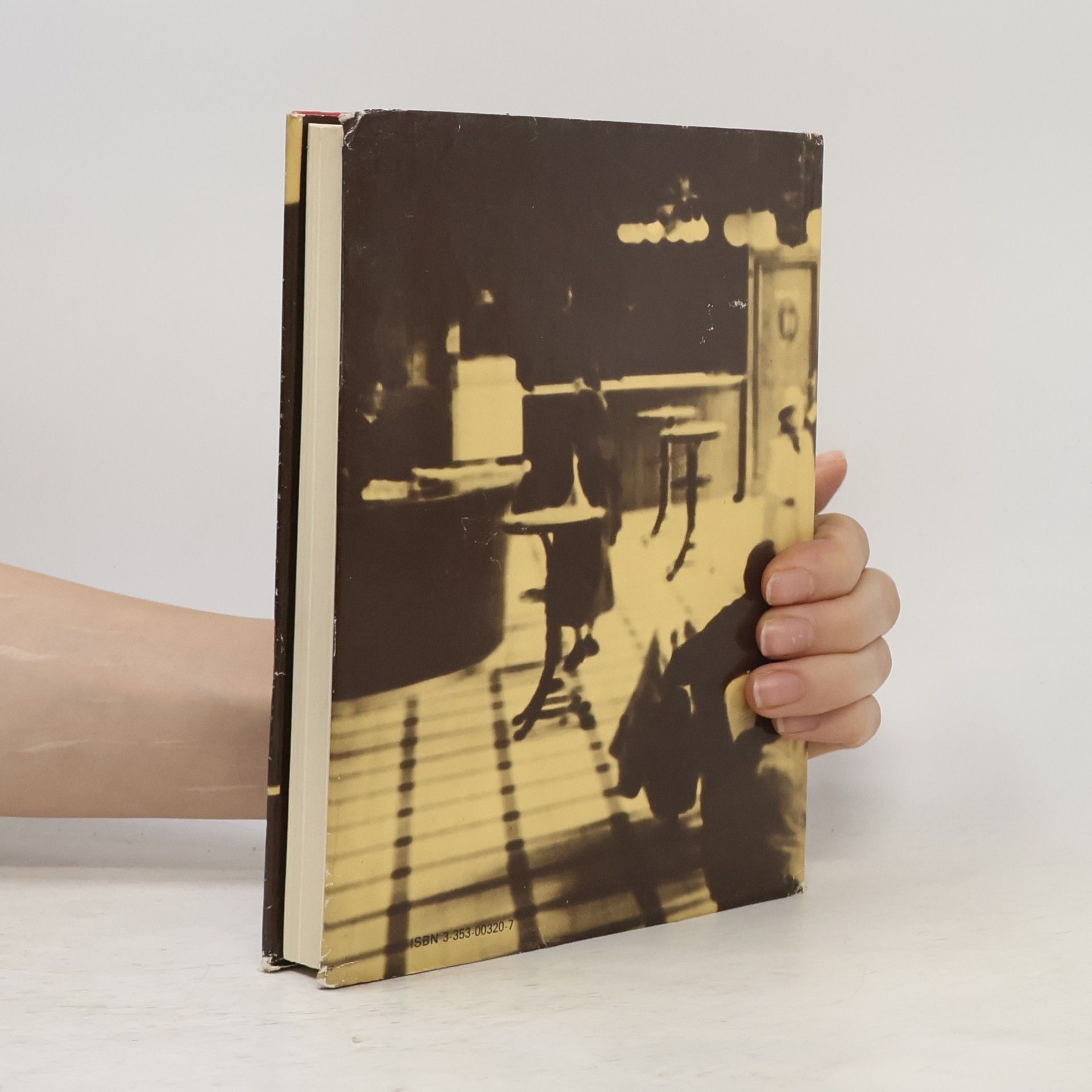 Věra Dyková Das Prager Kaffeehaus. Literarische Tischgesellschaften
