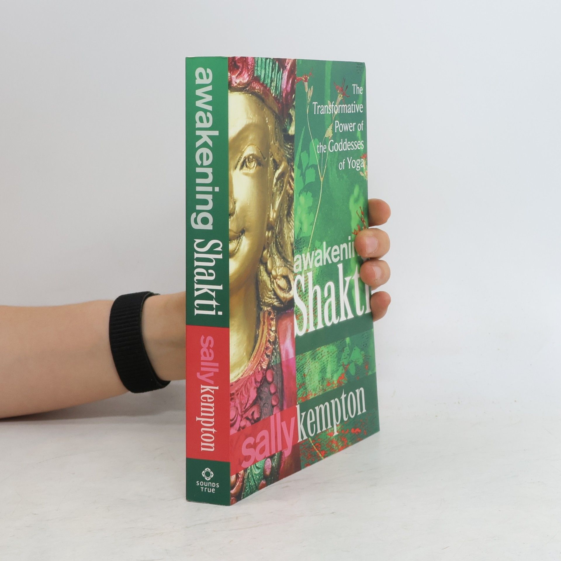 Sally Kempton Awakening Shakti