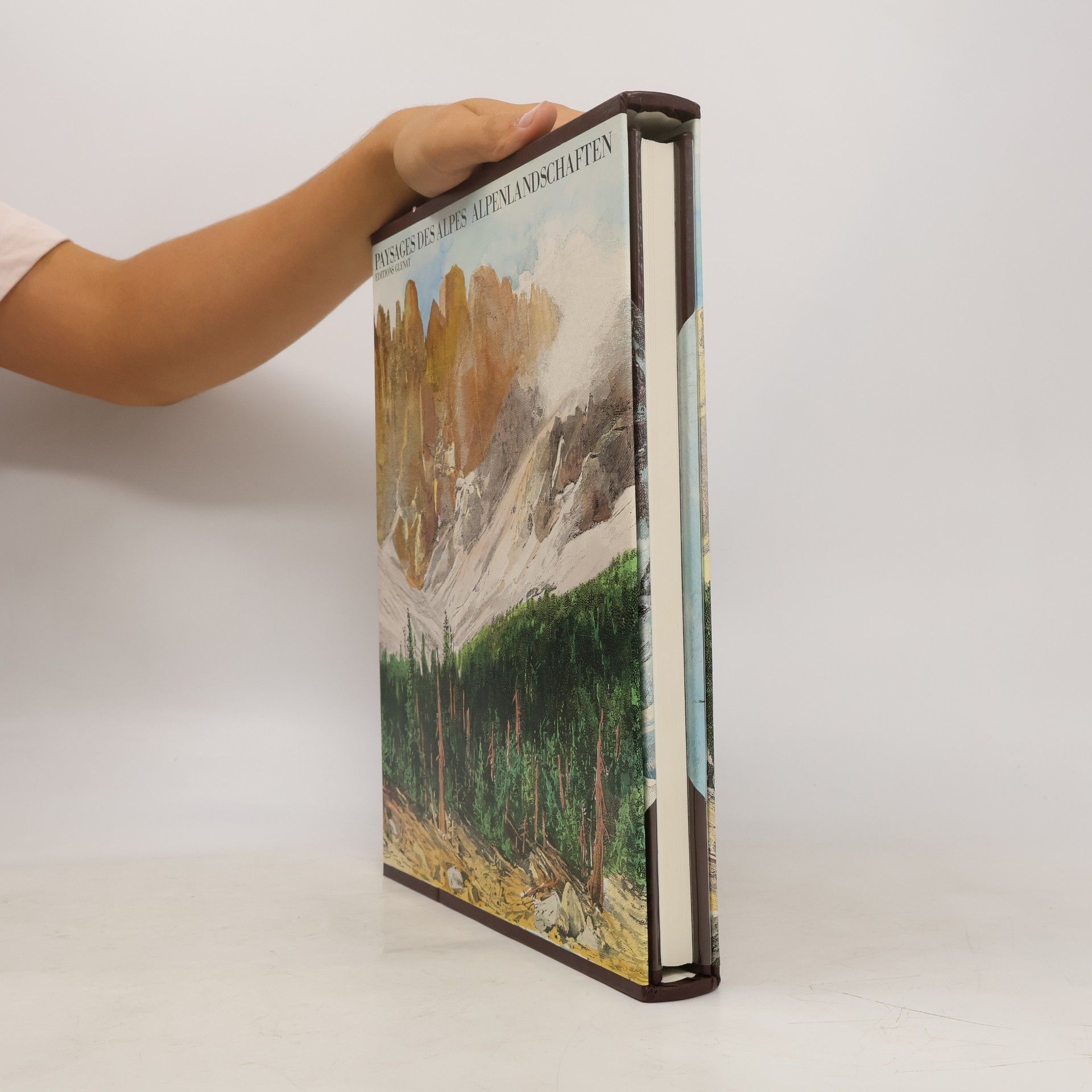 Autorenkollektiv Paysages Des Alpes