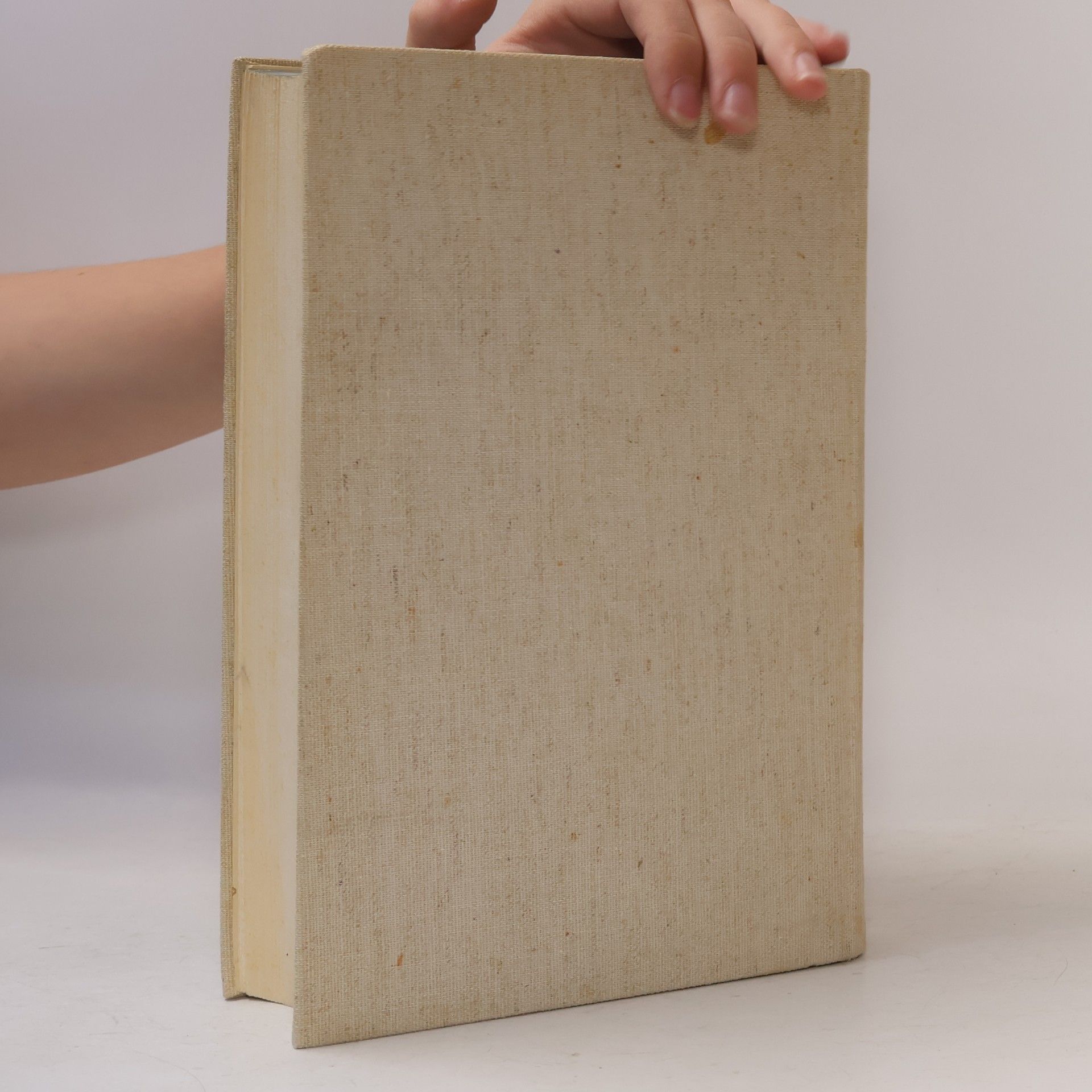 Bruno Gebhardt Handbuch der deutschen Geschichte I.