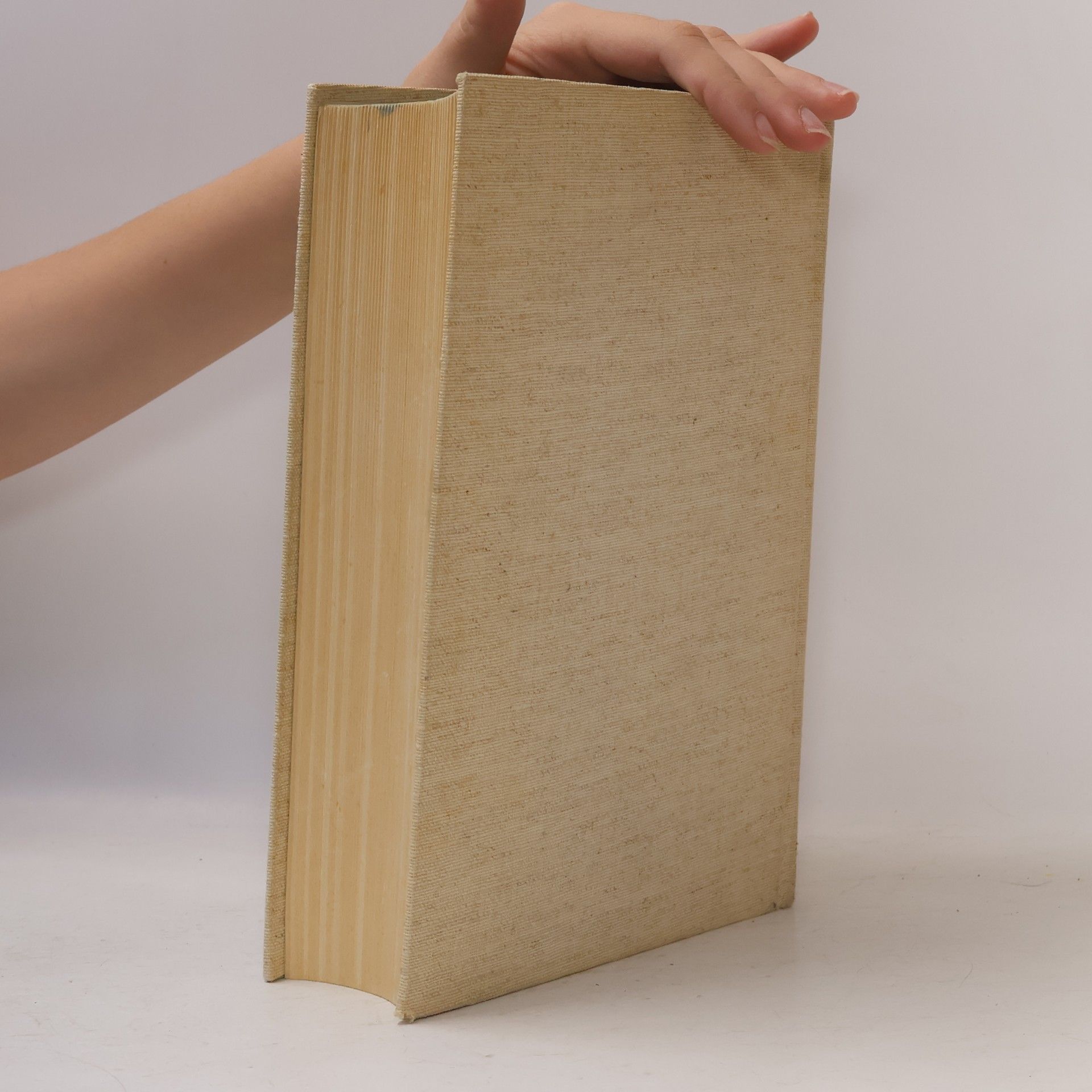Bruno Gebhardt Handbuch der deutschen Geschichte I.