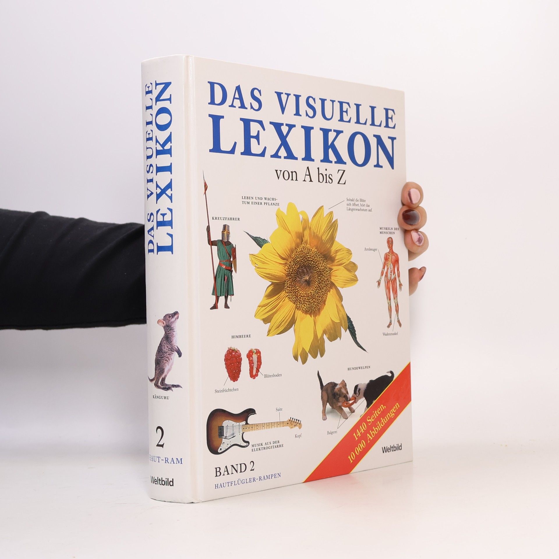 Autorenkollektiv Das visuelle Lexikon von A bis Z. Band 2