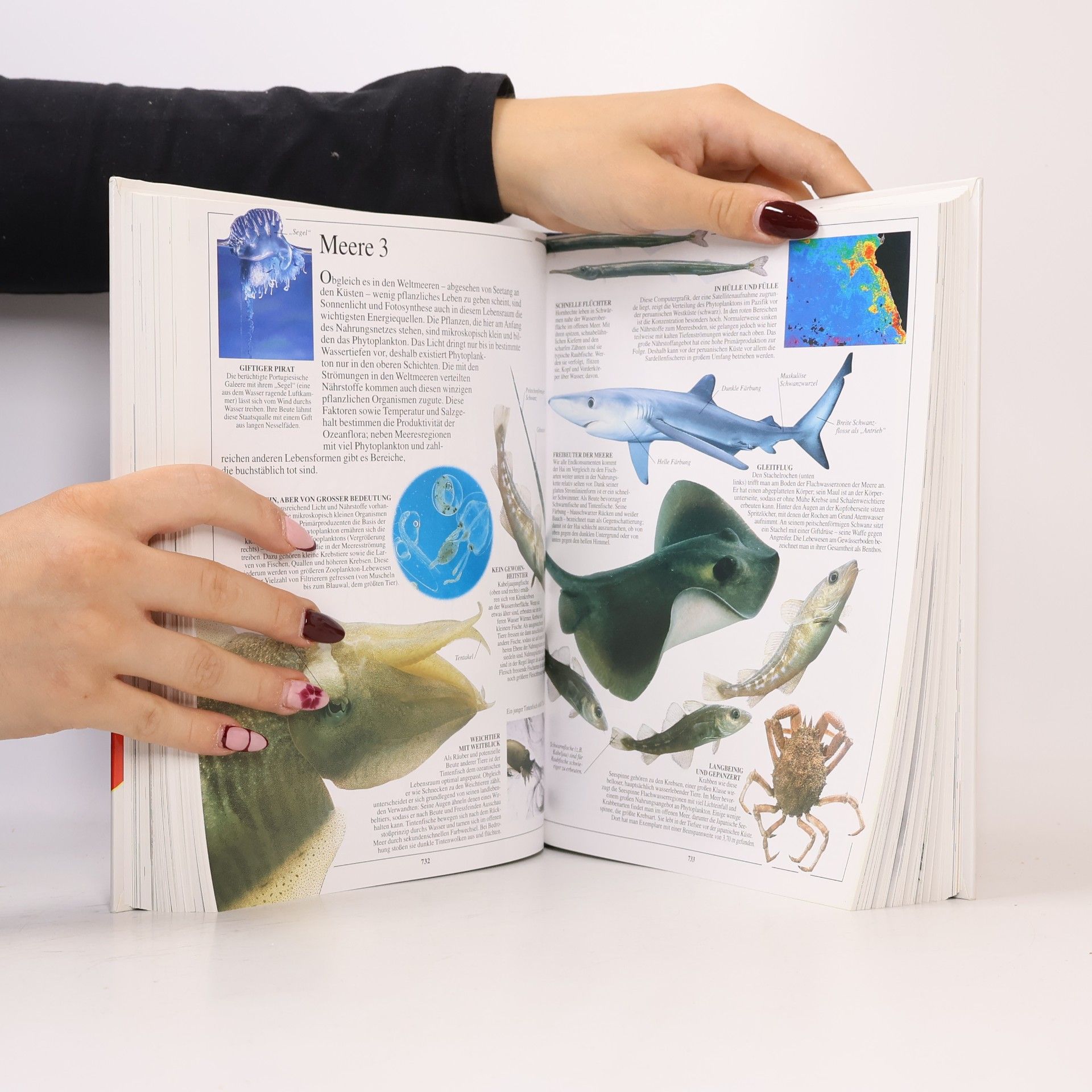 Autorenkollektiv Das visuelle Lexikon von A bis Z. Band 2