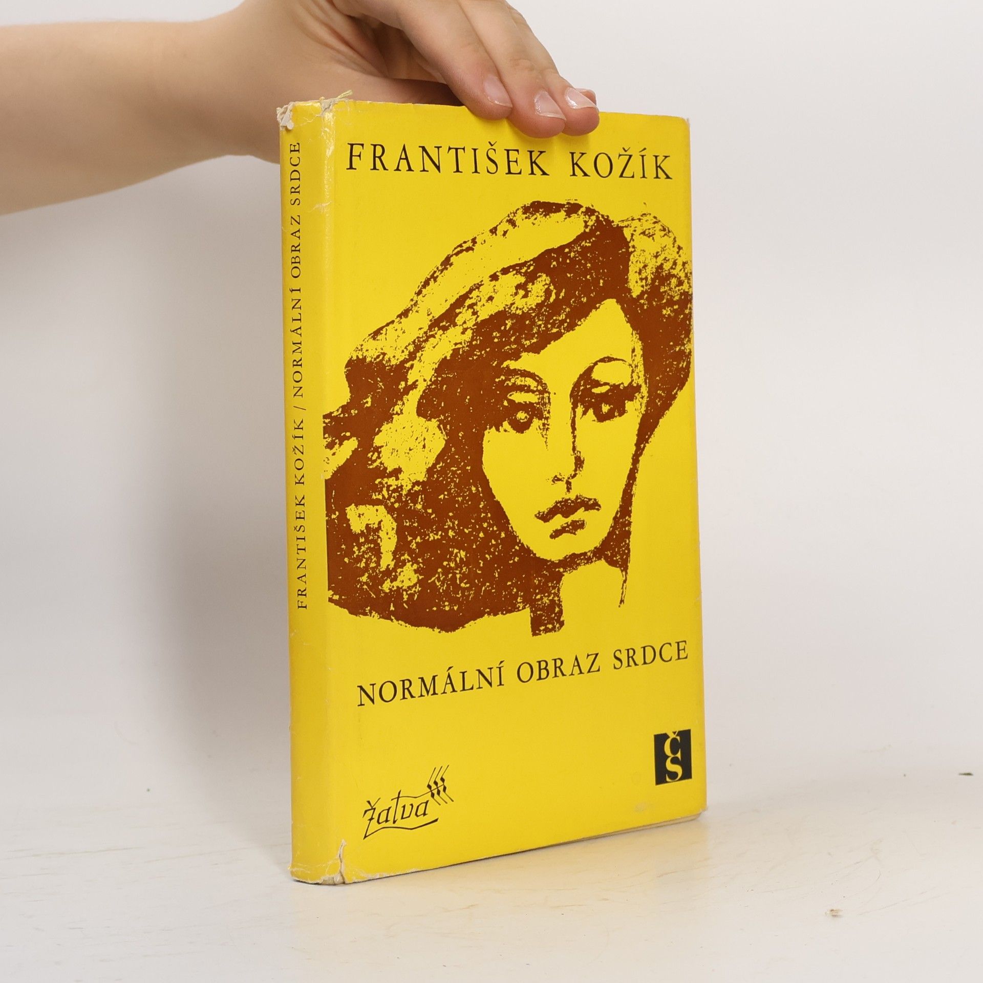 František Kožík Normální obraz srdce