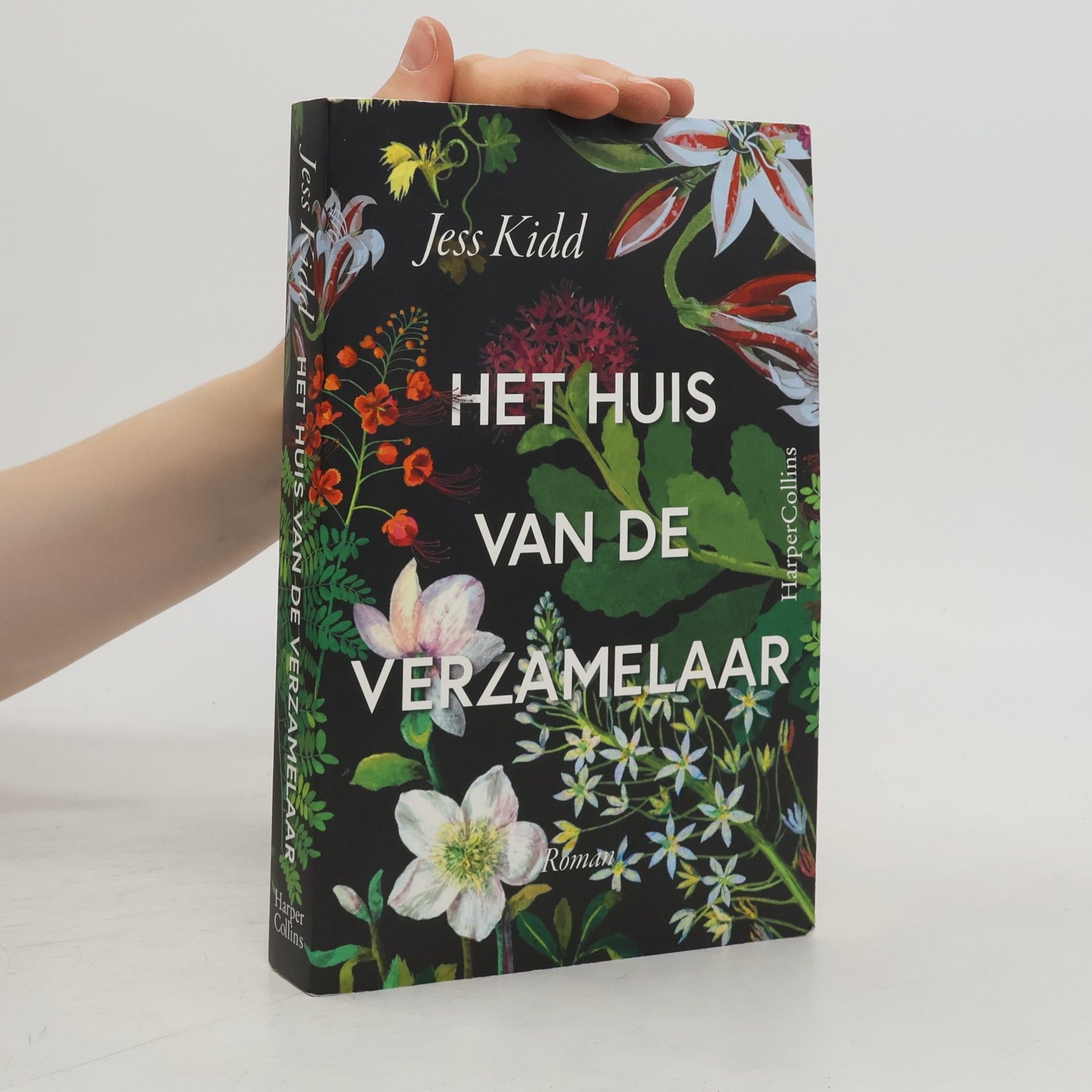 Anna Livestro Het huis van de verzamelaar