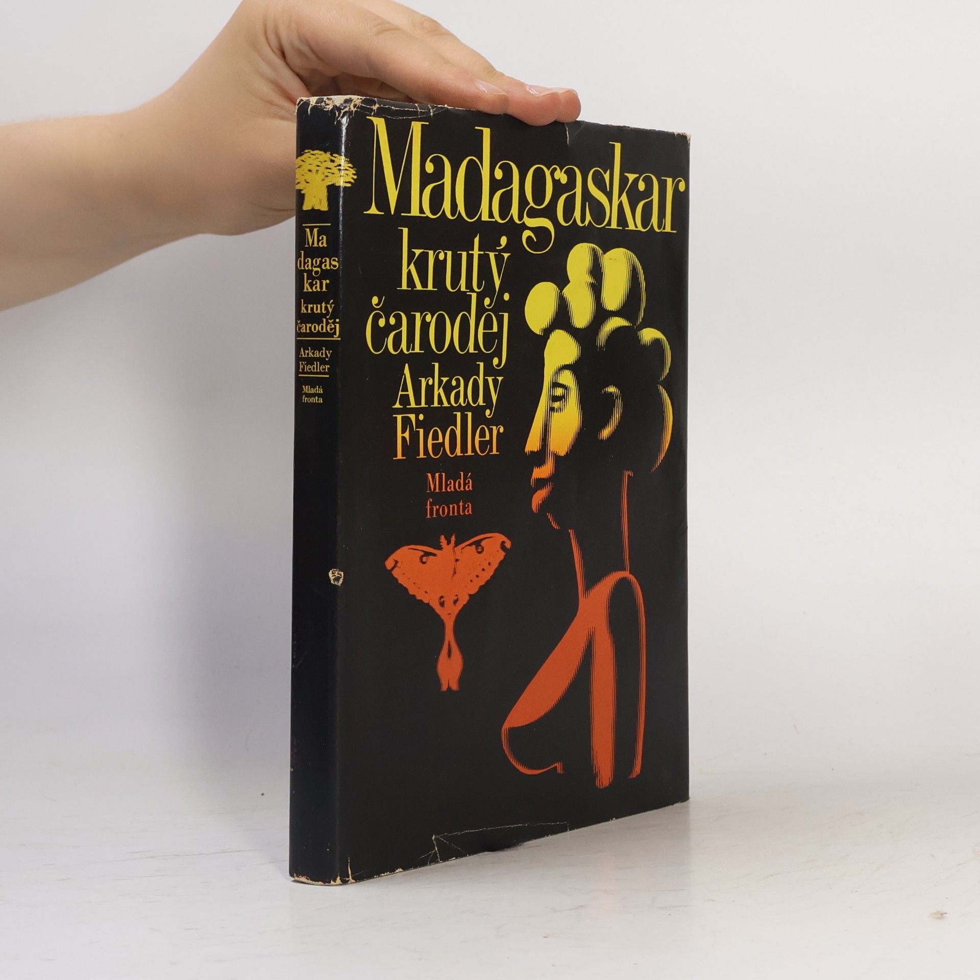 Arkady Fiedler Madagaskar, krutý čaroděj