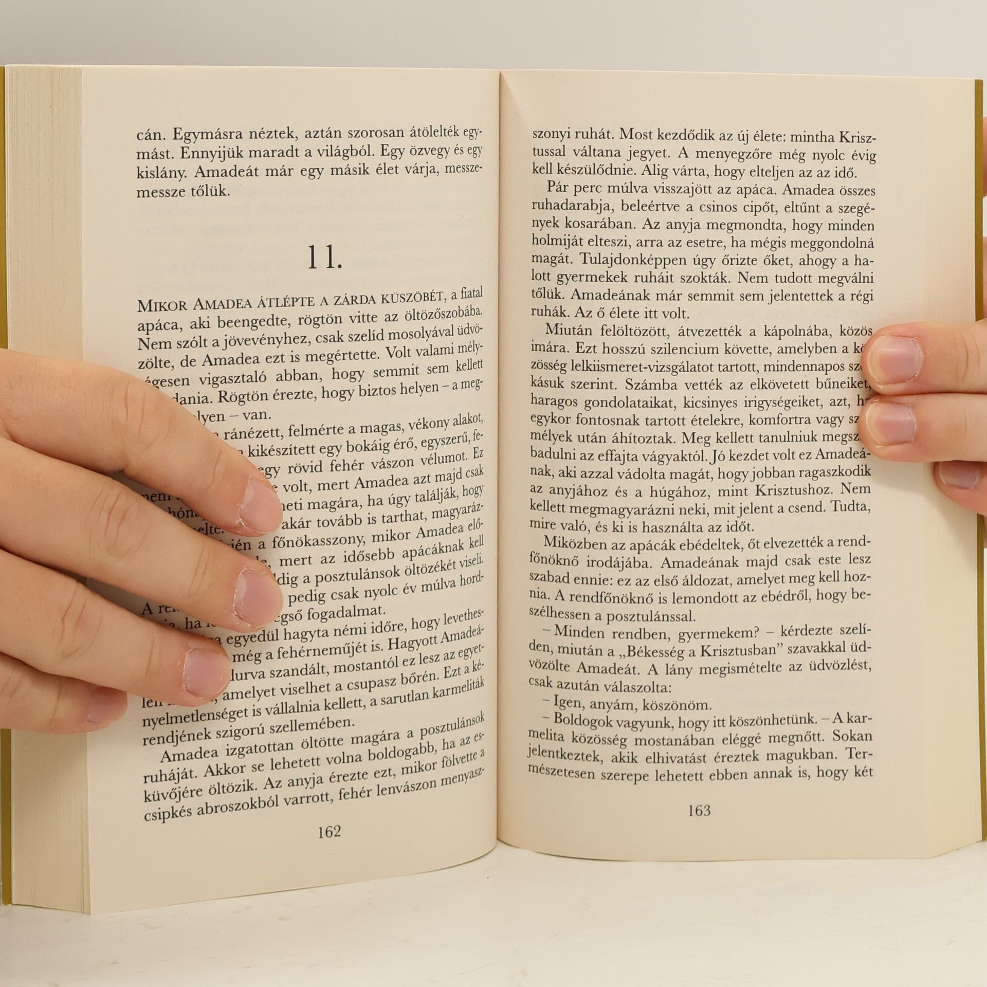 Danielle Steel Visszhangok