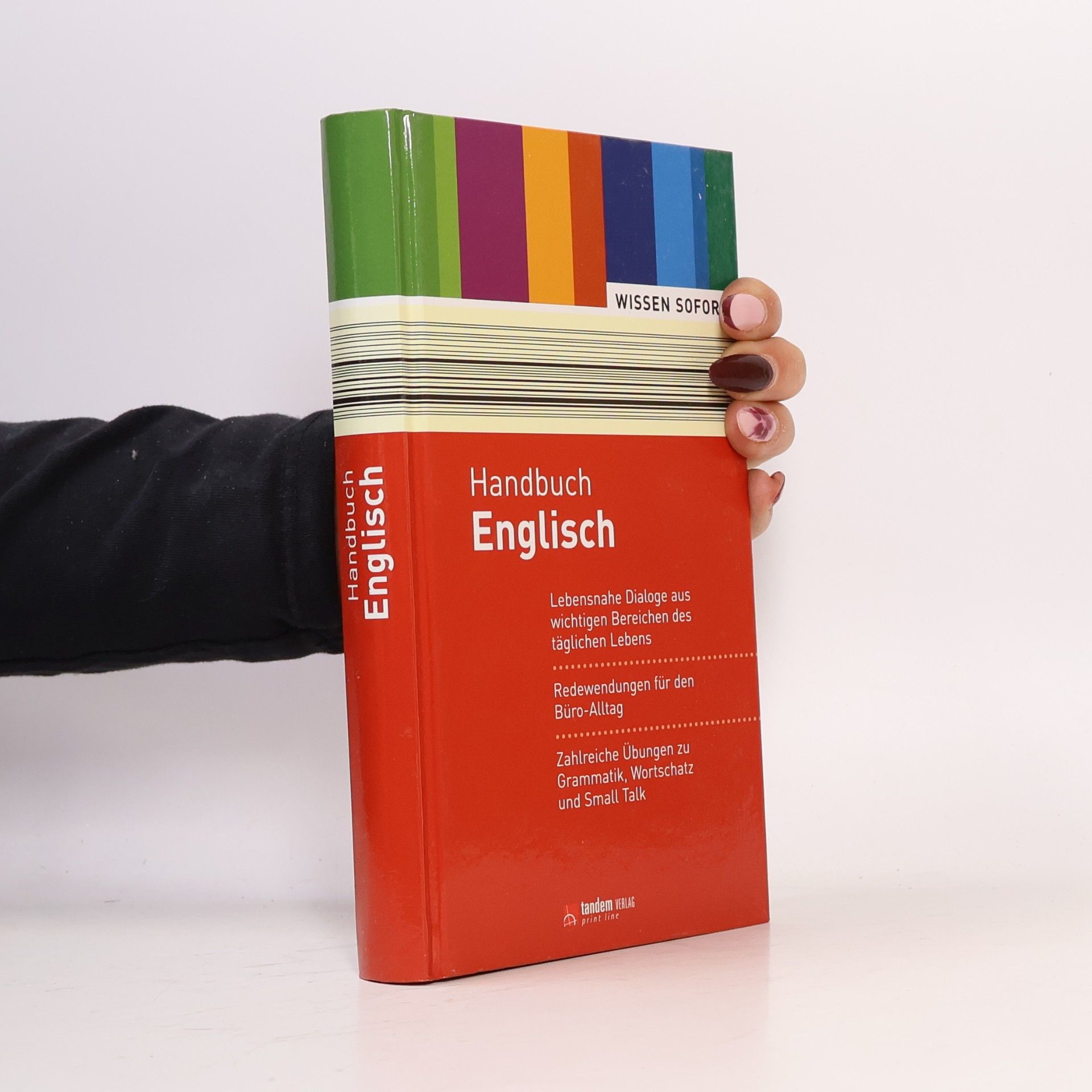 Autorenkollektiv Handbuch Englisch