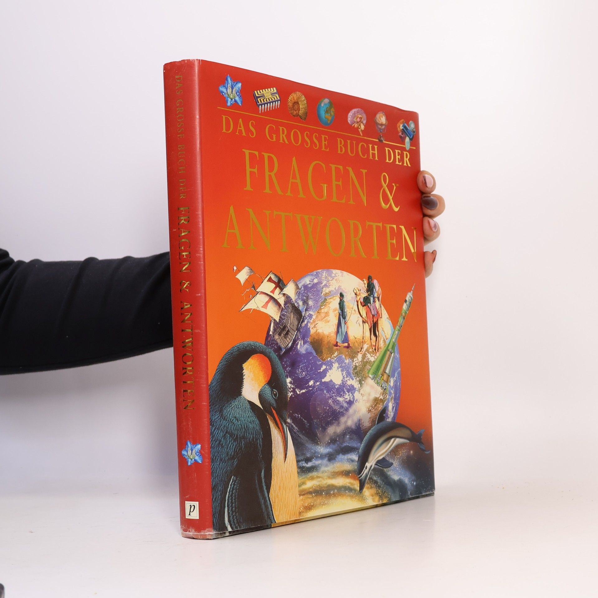 Autorenkollektiv Das grosse Buch der Fragen & Antworten