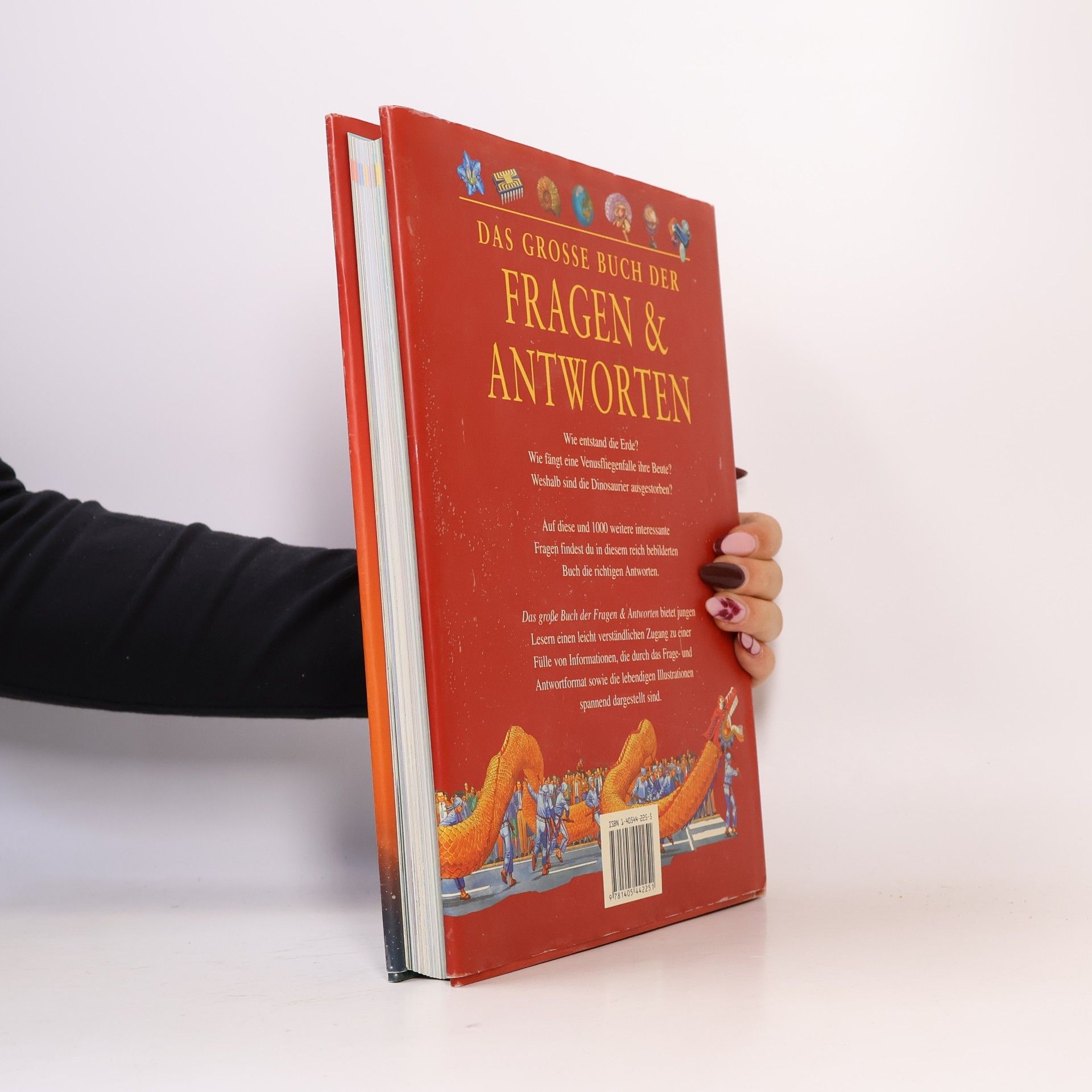 Autorenkollektiv Das grosse Buch der Fragen & Antworten