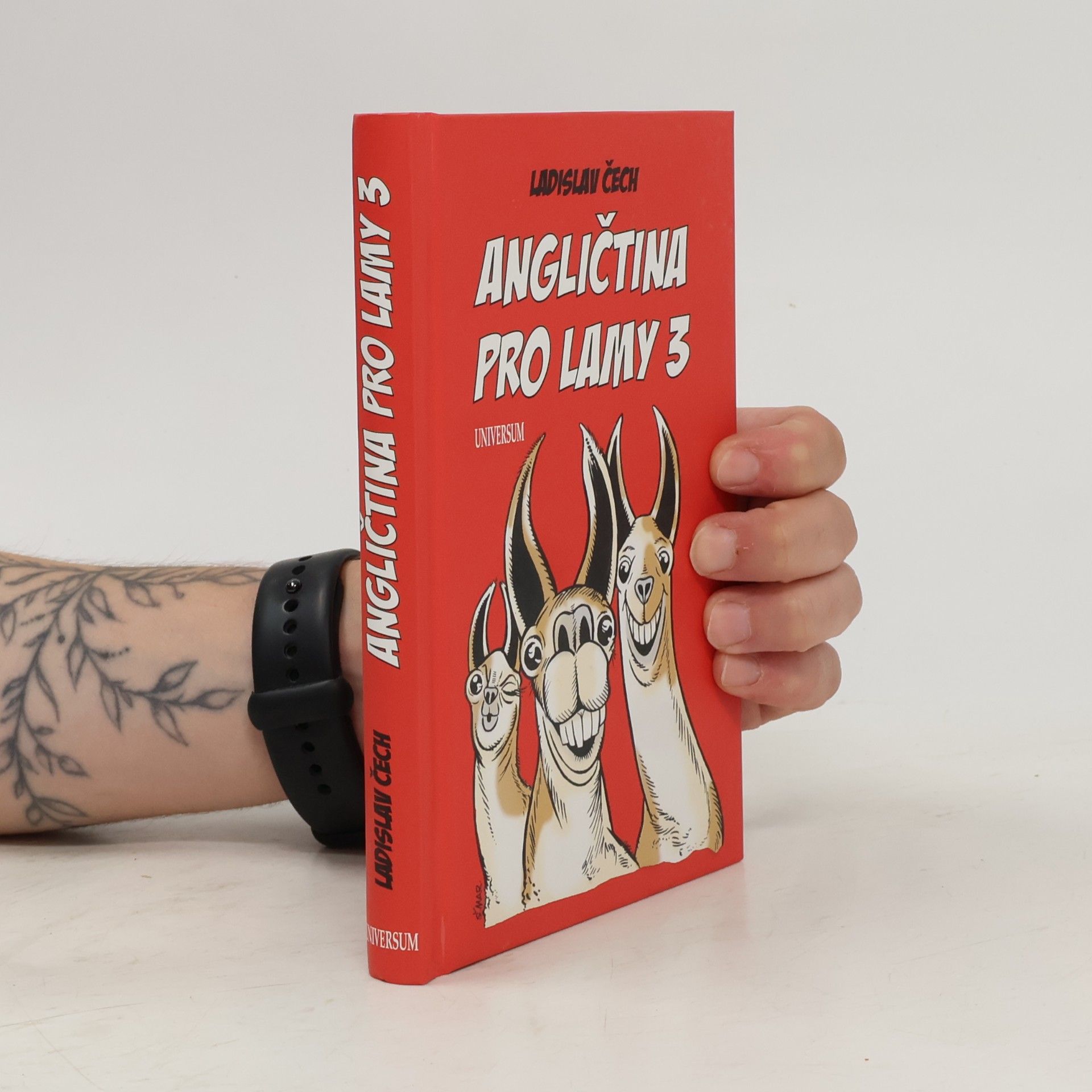Ladislav Čech Angličtina pro lamy 3