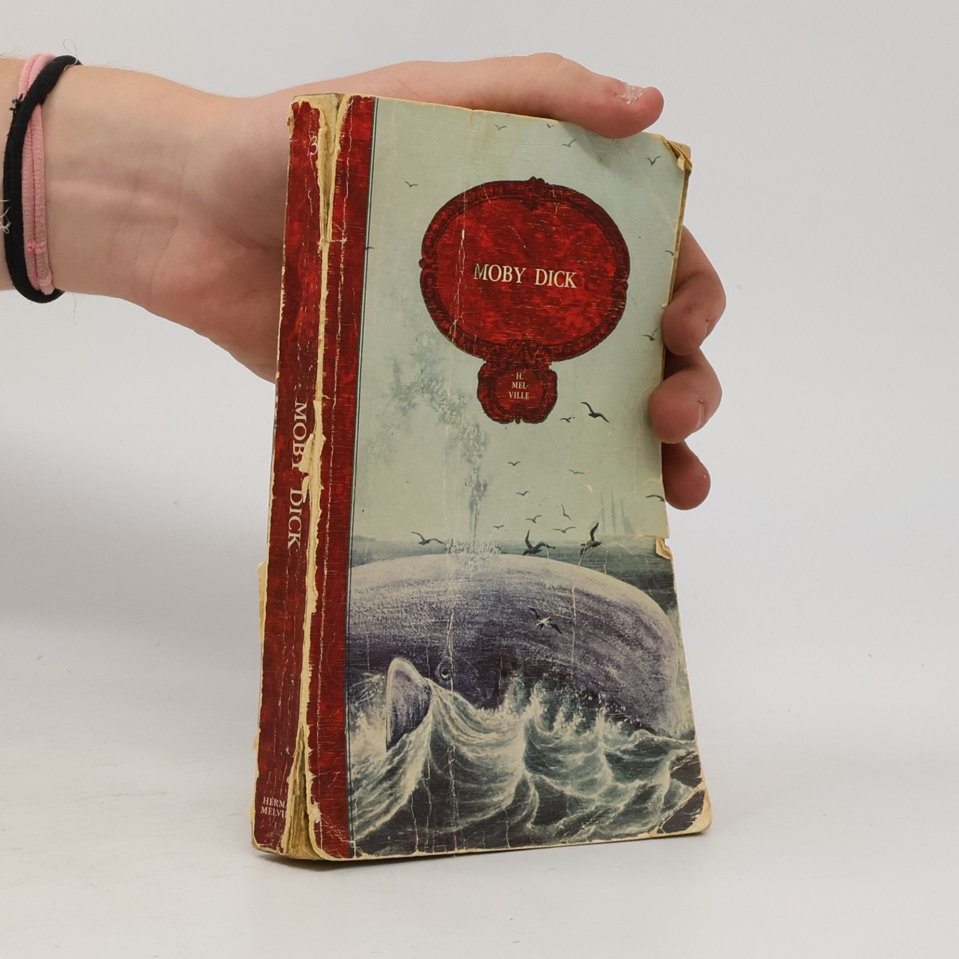 Herman Melville Moby Dick