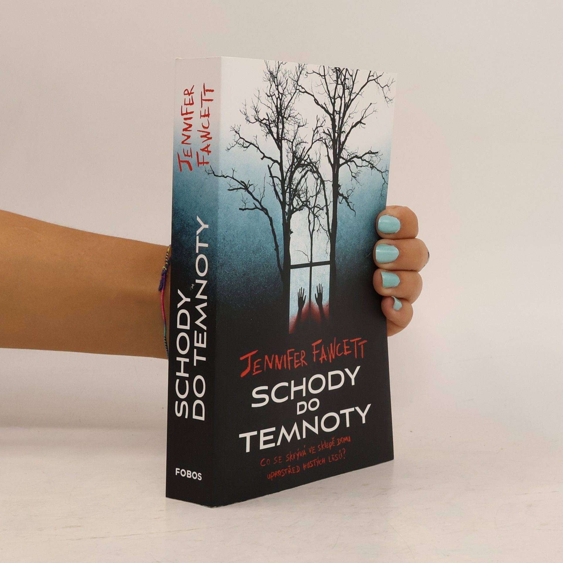 Jennifer Fawcett Schody do temnoty