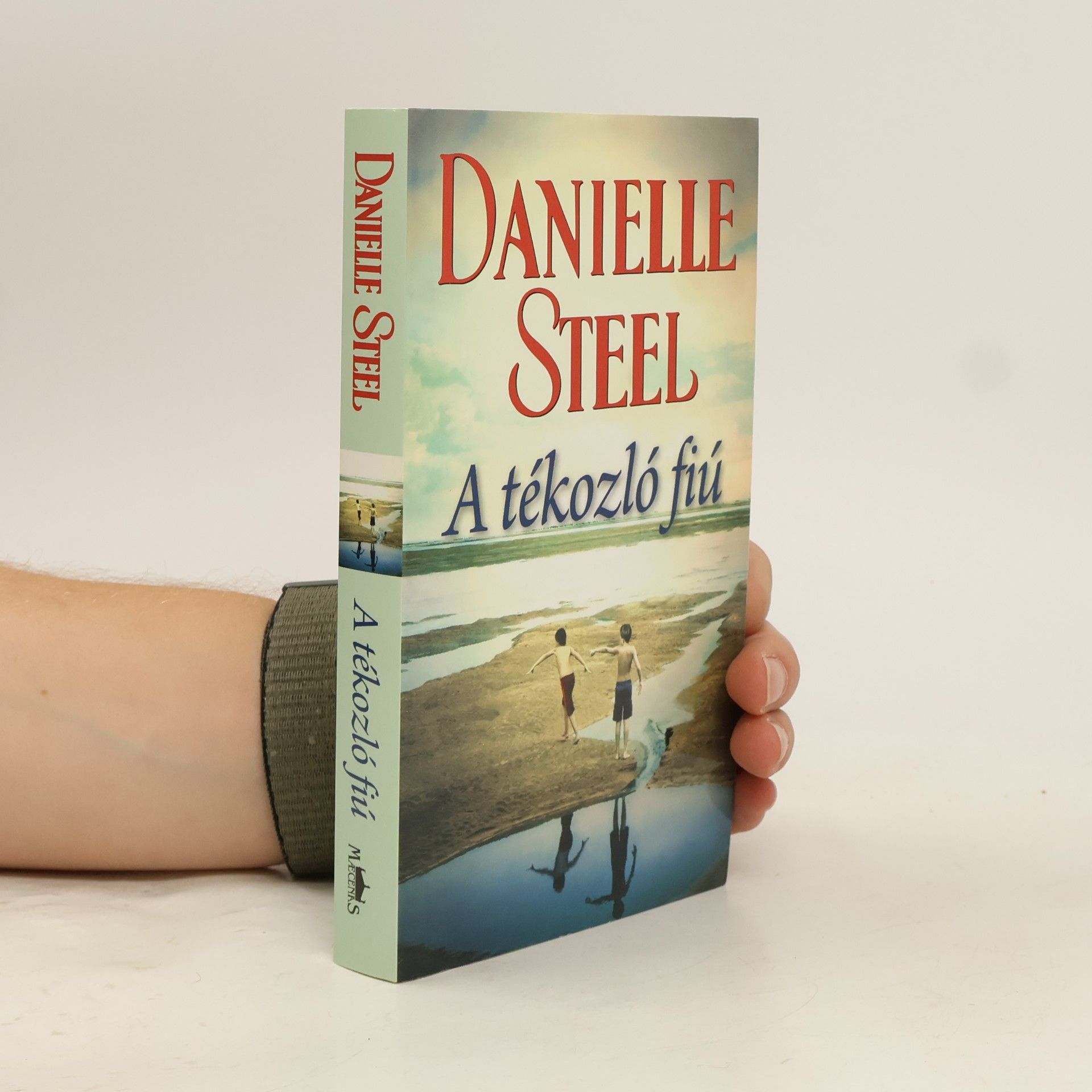 Danielle Steelová A tékozló fiú