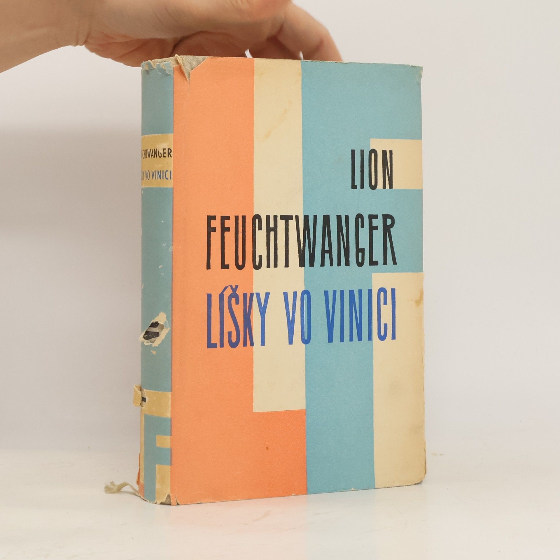 Lion Feuchtwanger Líšky vo vinici