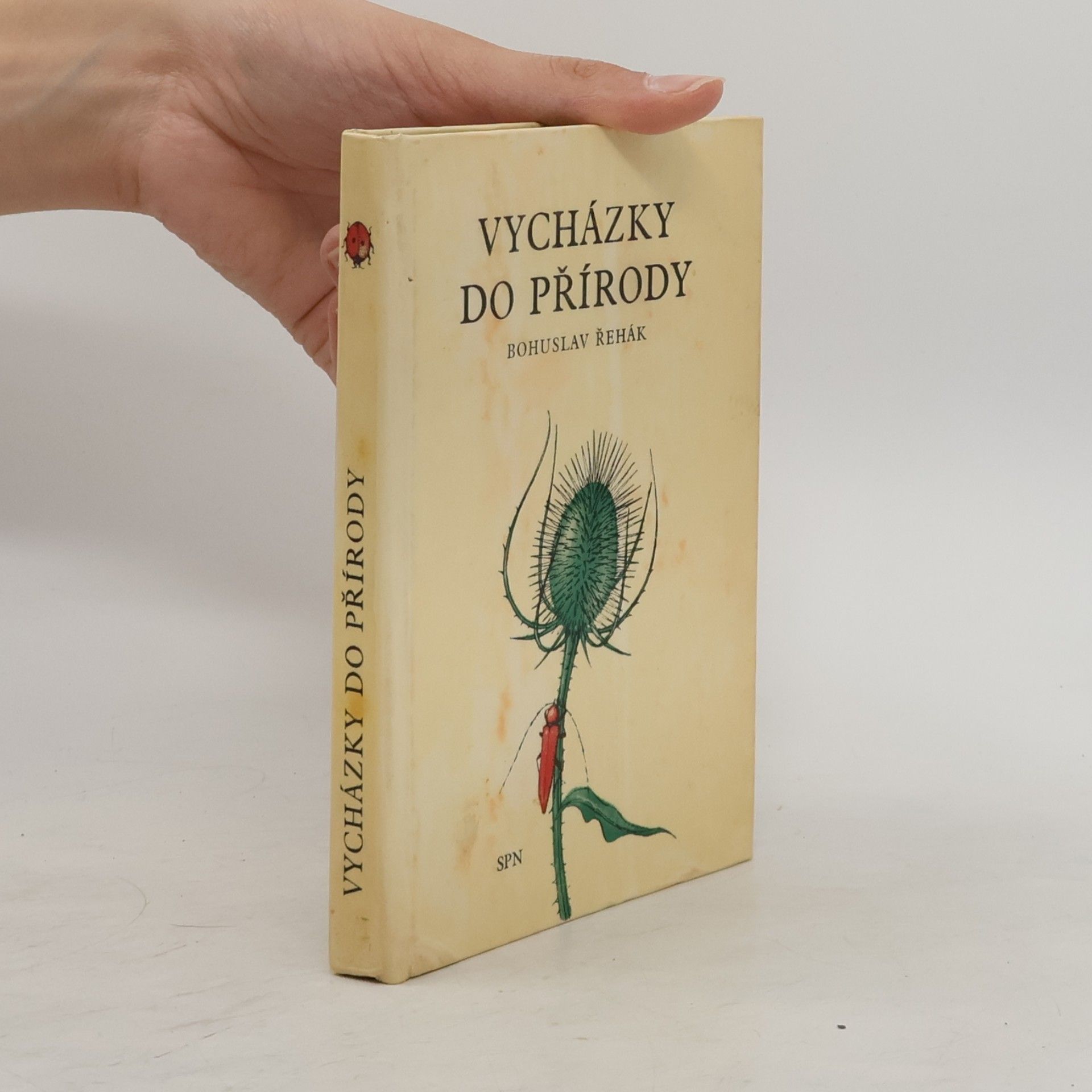 Vycházky do přírody