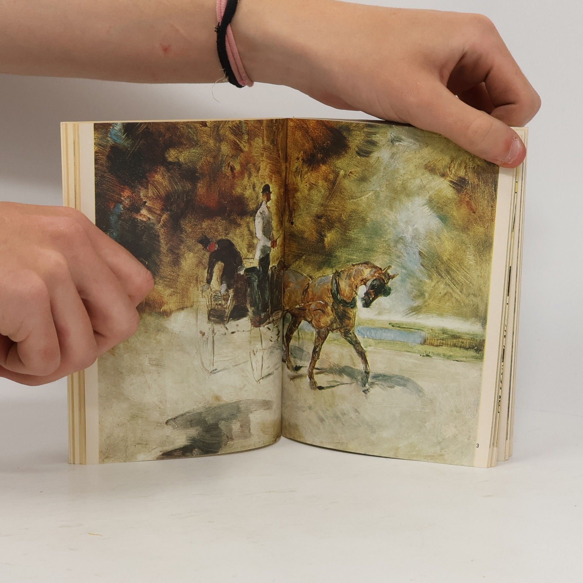 Maria Cionini Visani Toulouse-Lautrec : the life and work of the artist illustrated with 80 colour plates