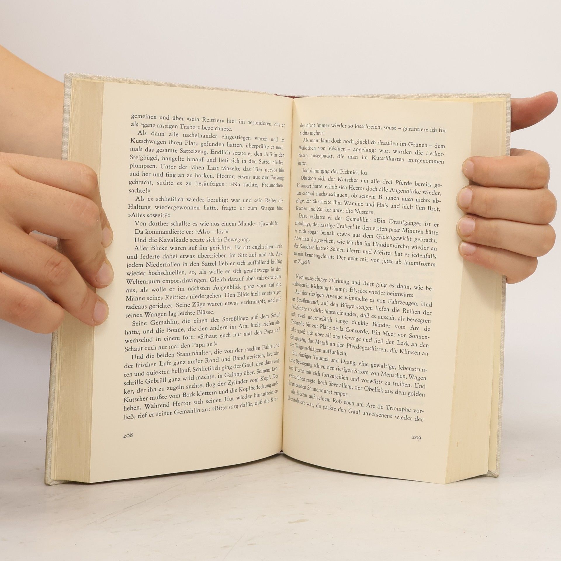 Guy de Maupassant In Paris und auf dem Lande