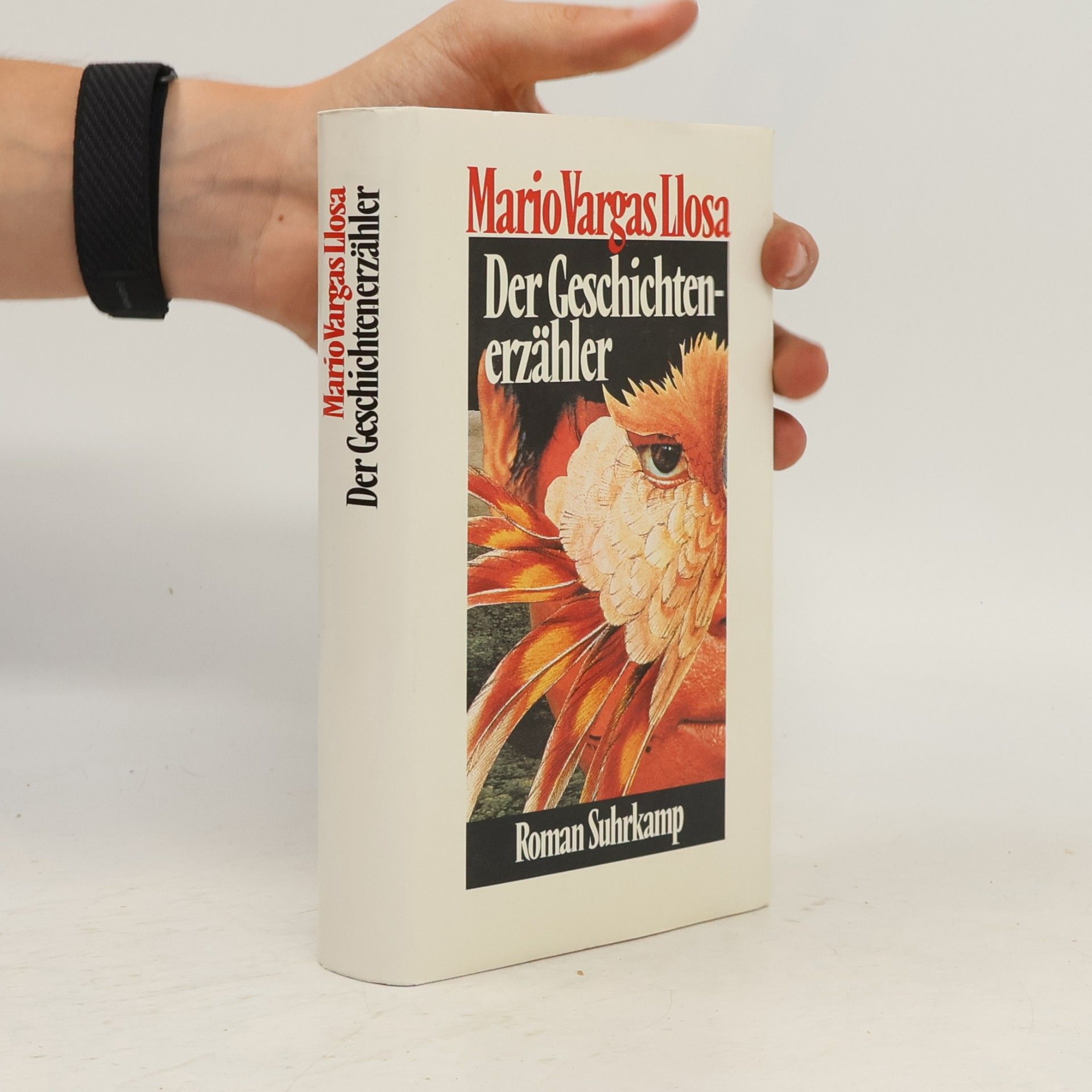 Mario Vargas Llosa Der Geschichtenerzähler
