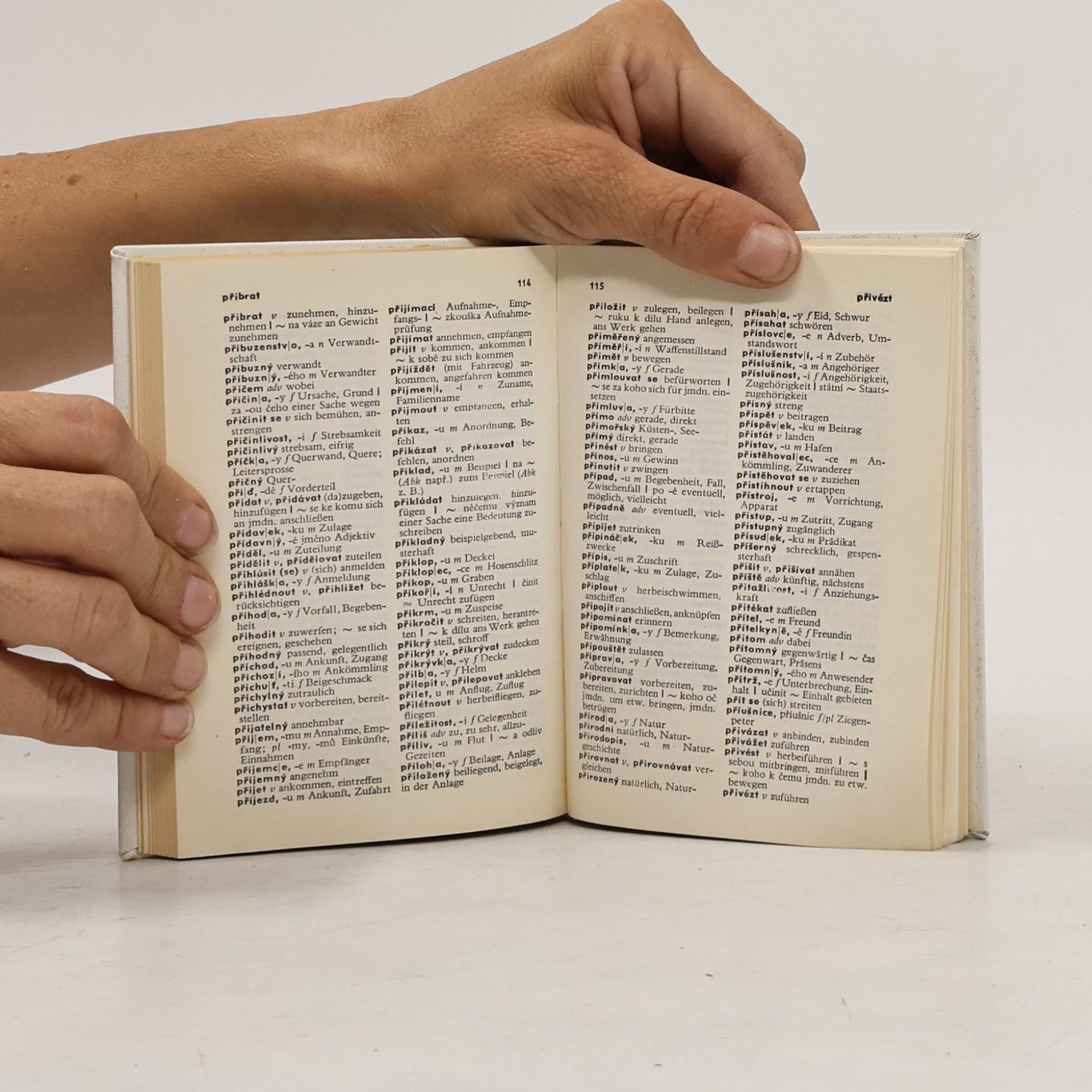 Rudolf Fischer-Wollpert Taschenwörterbuch: Tschechisch-Deutsch