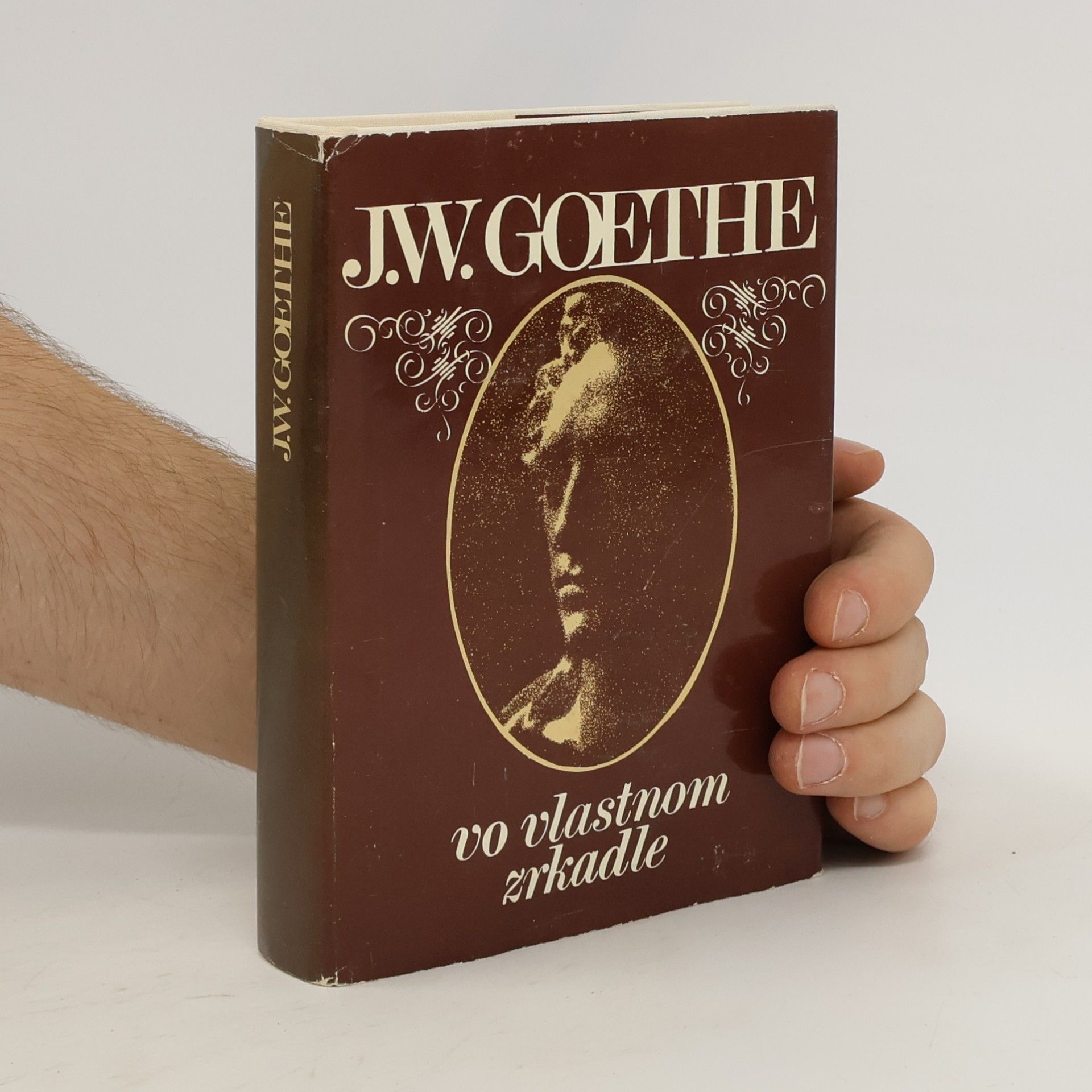 Johann Wolfgang von Goethe Vo vlastnom zrkadle