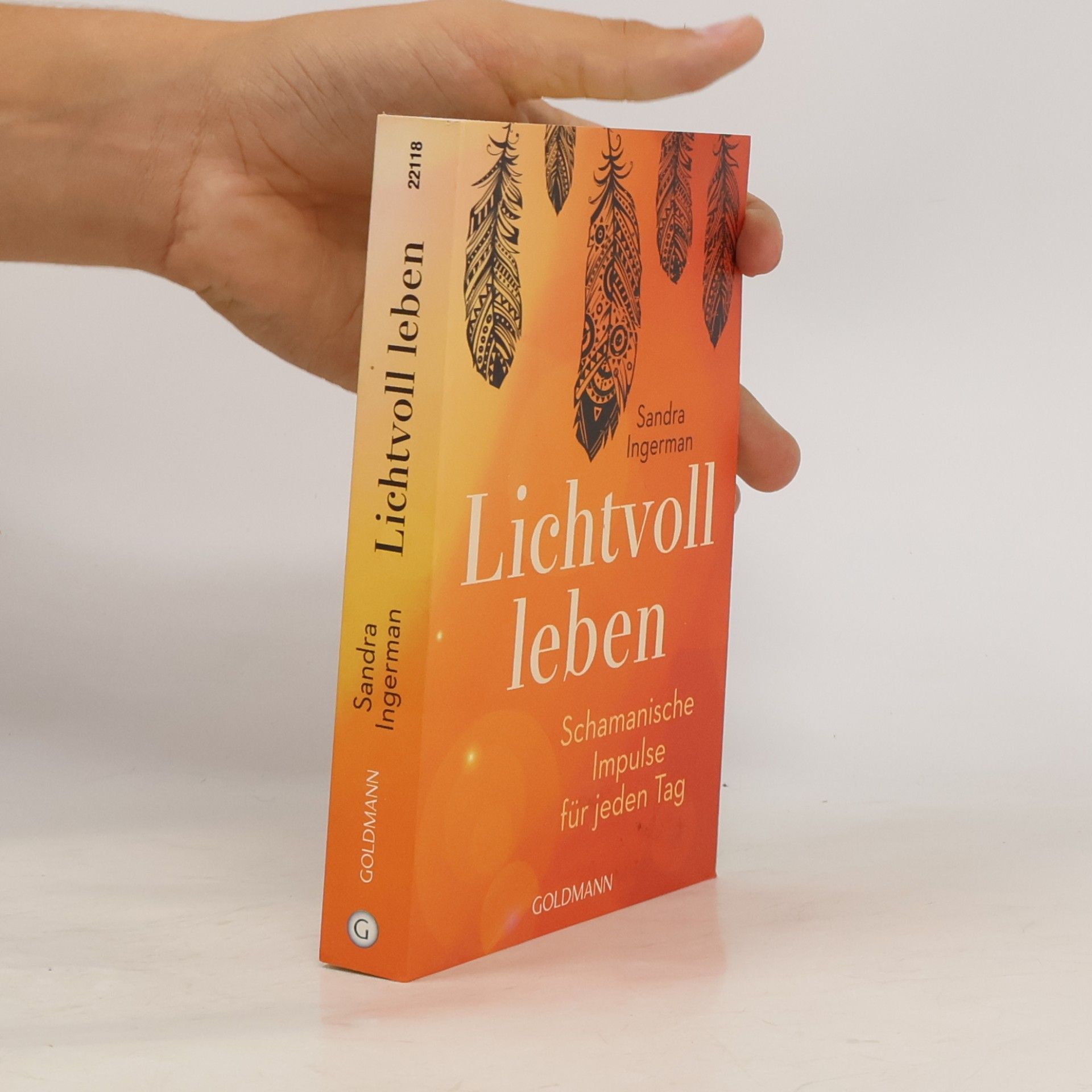 Sandra Ingerman Lichtvoll leben