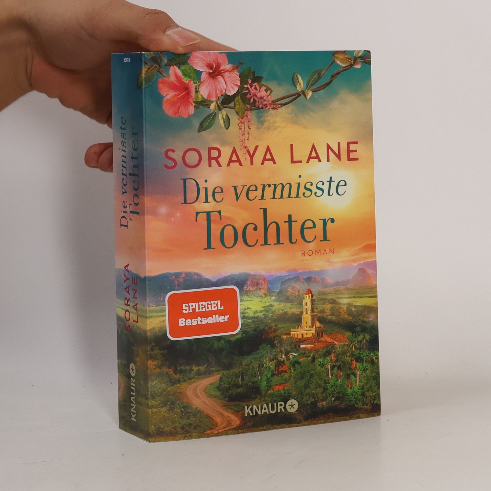 Soraya M. Lane Die vermisste Tochter