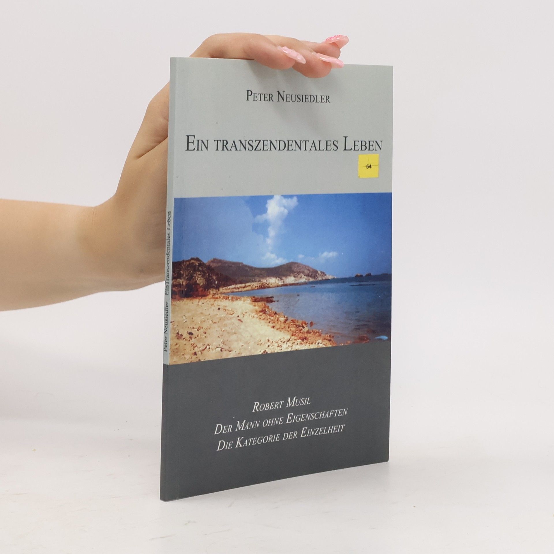 Peter Neusiedler Ein transzendentales Leben