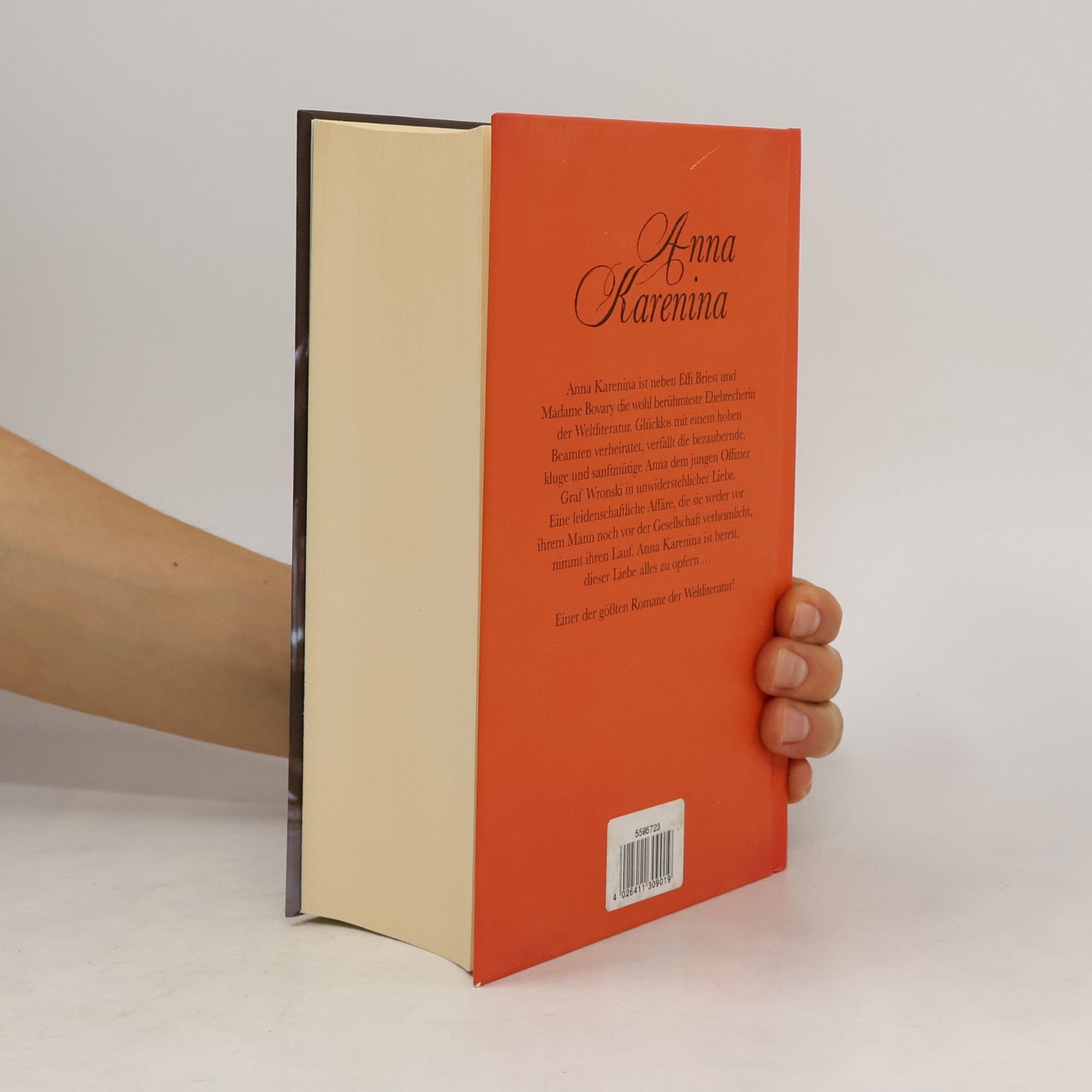 Lew Nikolajewitsch Tolstoi Anna Karenina