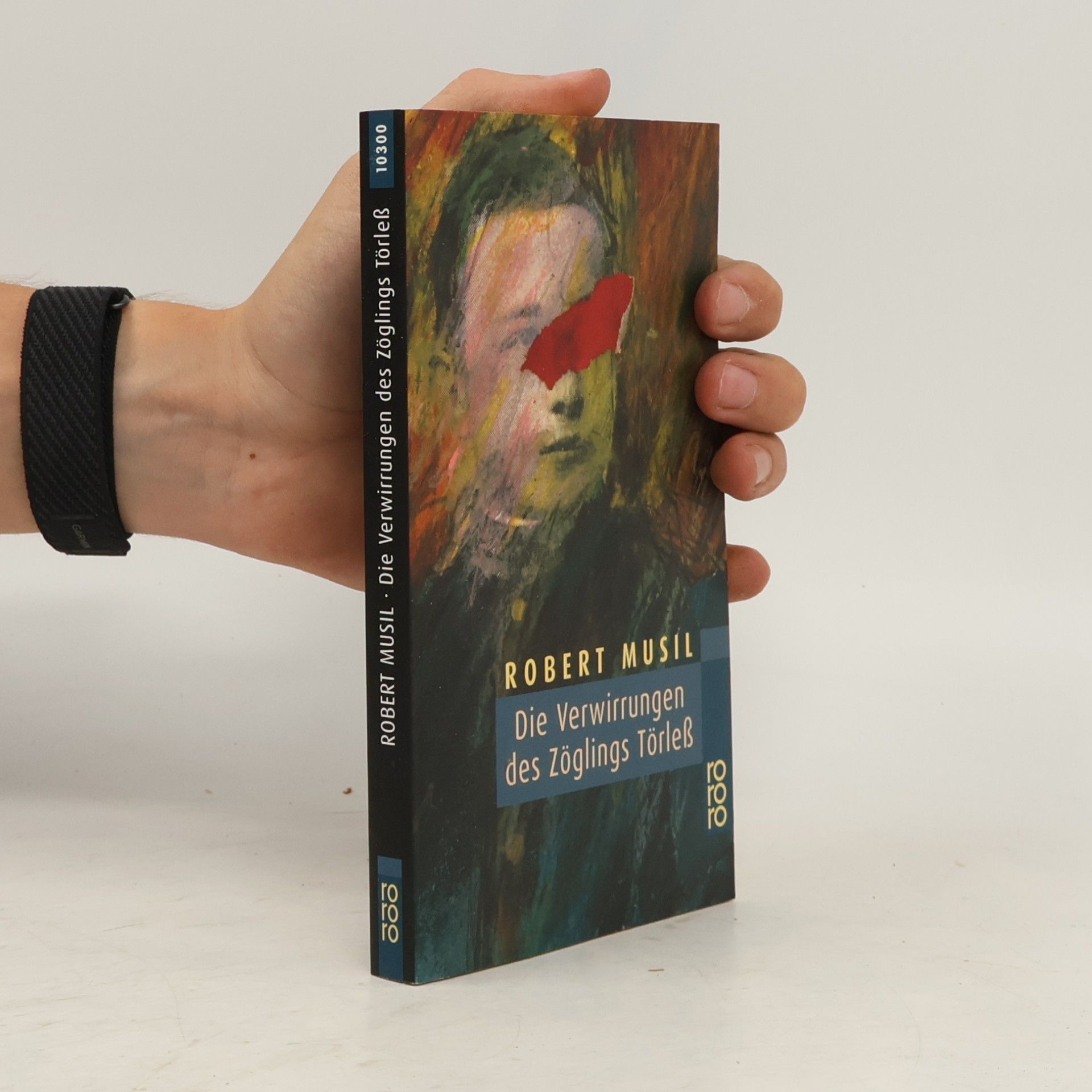 Robert Musil Die Verwirrungen des Zöglings Törleß