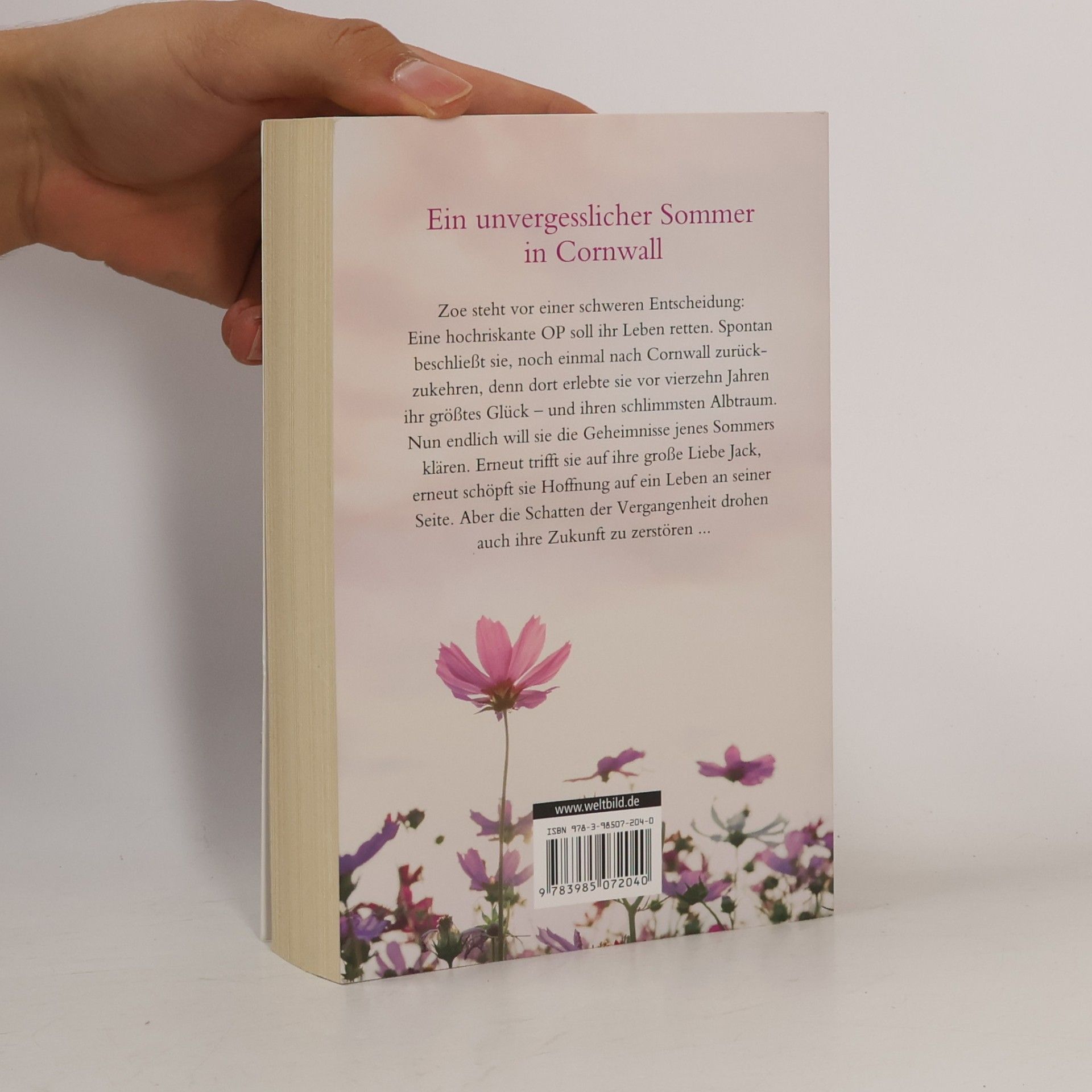 Kathryn Taylor Wildblumensommer