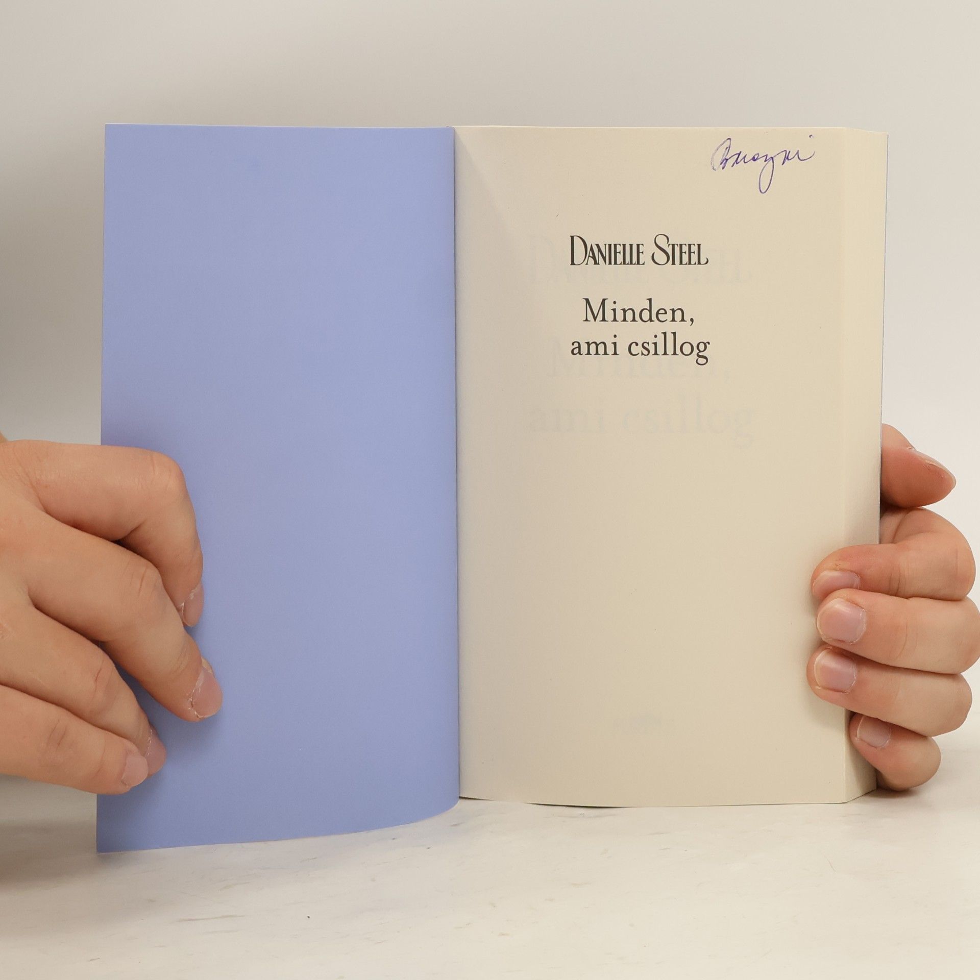 Danielle Steelová Minden, ami csillog