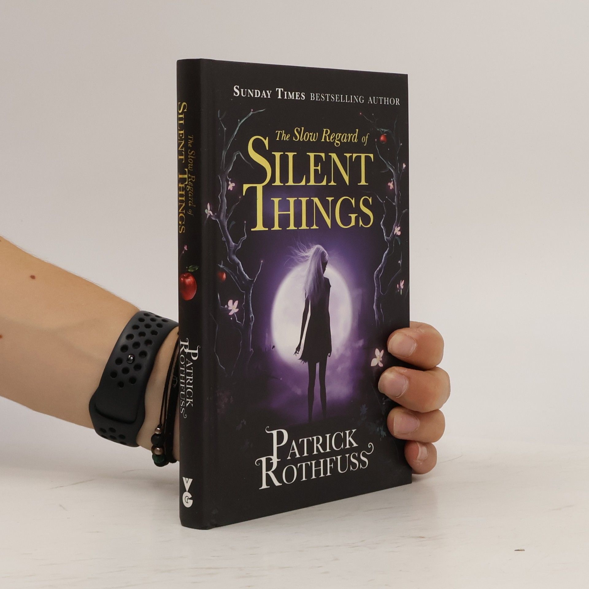 Patrick Rothfuss The slow regard of silent things