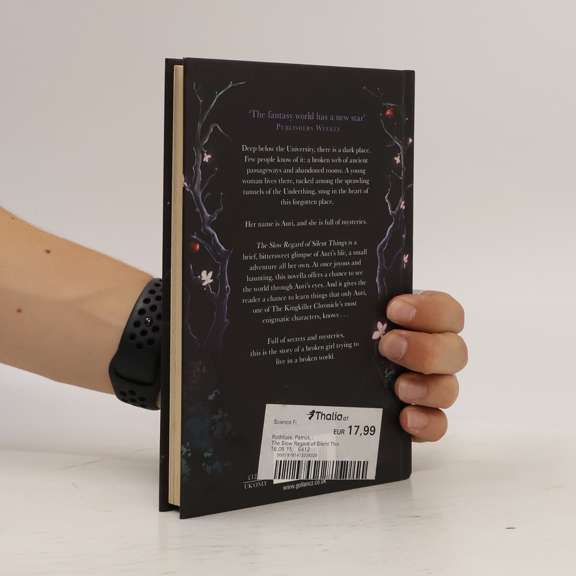 Patrick Rothfuss The slow regard of silent things