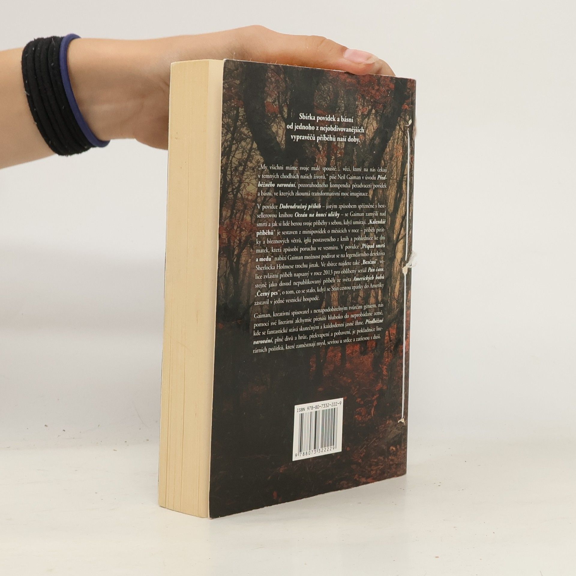 Neil Gaiman Předběžné varování : krátké fikce a turbulence