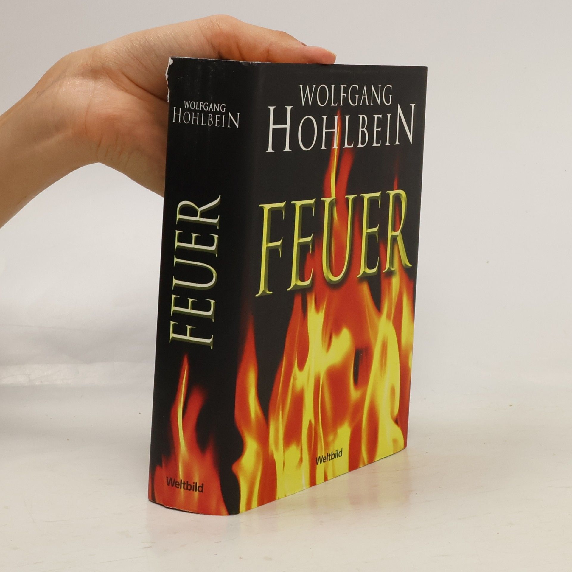 Wolfgang Hohlbein Feuer
